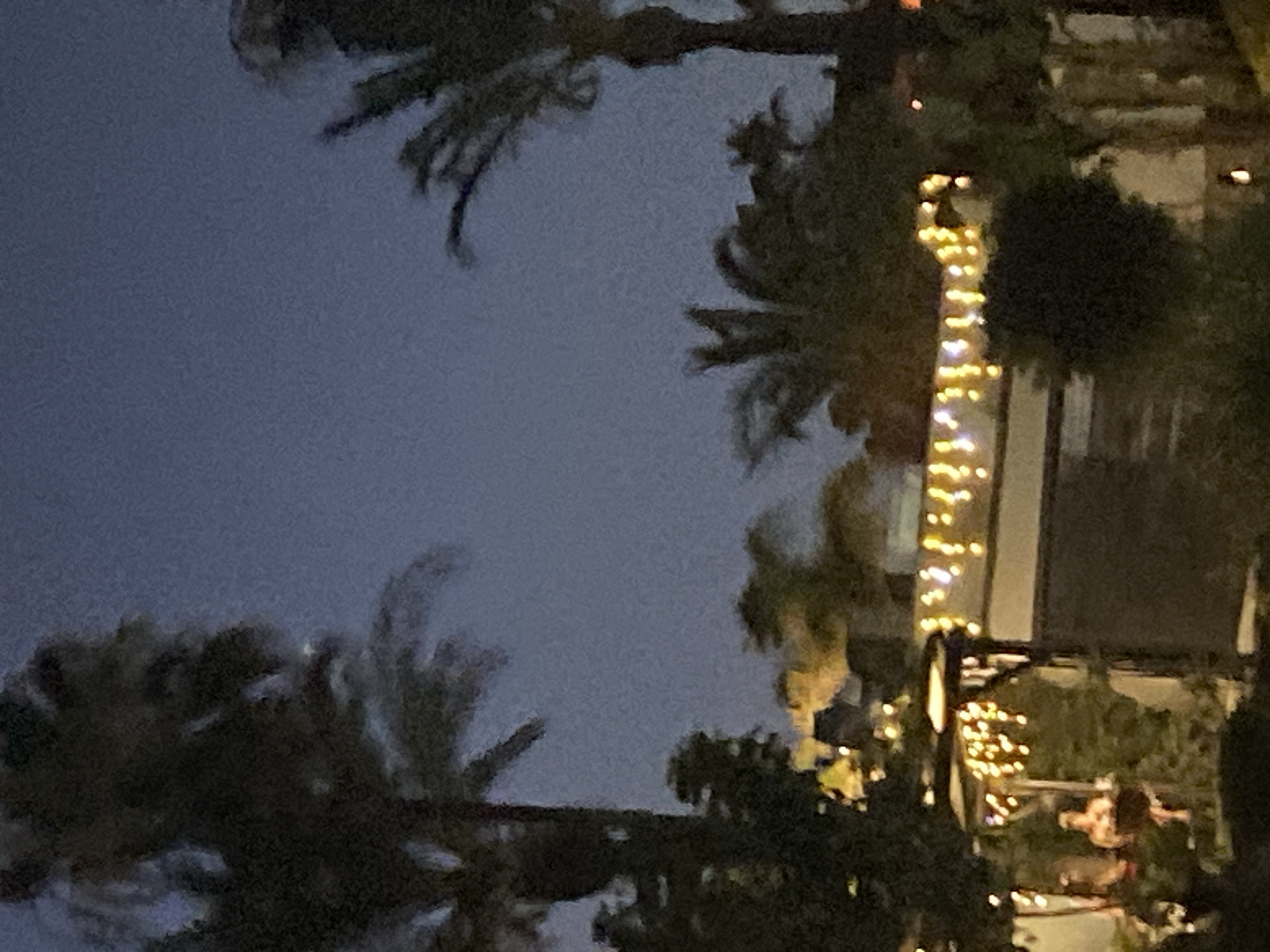 The image depicts an outdoor scene at dusk, likely in Estepona, Spain, characterized by palm trees and string lights. In the foreground, silhouetted palm trees are prominent against a dusky sky. Below the palm trees, a row of warm, yellow string lights is visible, illuminating a covered outdoor seating area. Two individuals are partially visible within this area, seated at a table. One individual appears to be wearing a light-colored garment, while the other is in darker clothing. The background features more foliage and structures that are indistinct in the low light.