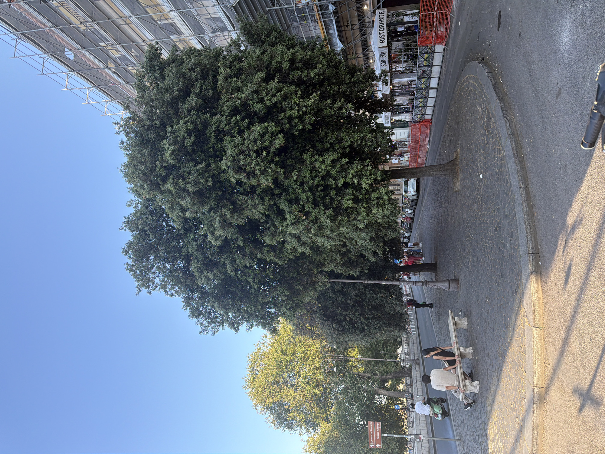 The image captures an outdoor scene on a cobblestone sidewalk next to a street. A large, leafy tree dominates the foreground, casting dappled shadows. Behind the tree, a building is under construction, covered in scaffolding and mesh netting. A row of restaurants with outdoor seating lines the street, some with awnings and festive lights. On the sidewalk, two people are seated on a stone bench, facing away from the camera. To their left, a person on a scooter is riding down the street. Several cars are parked along the street in the background, and more people are visible walking on the sidewalk. The sky is clear and blue.