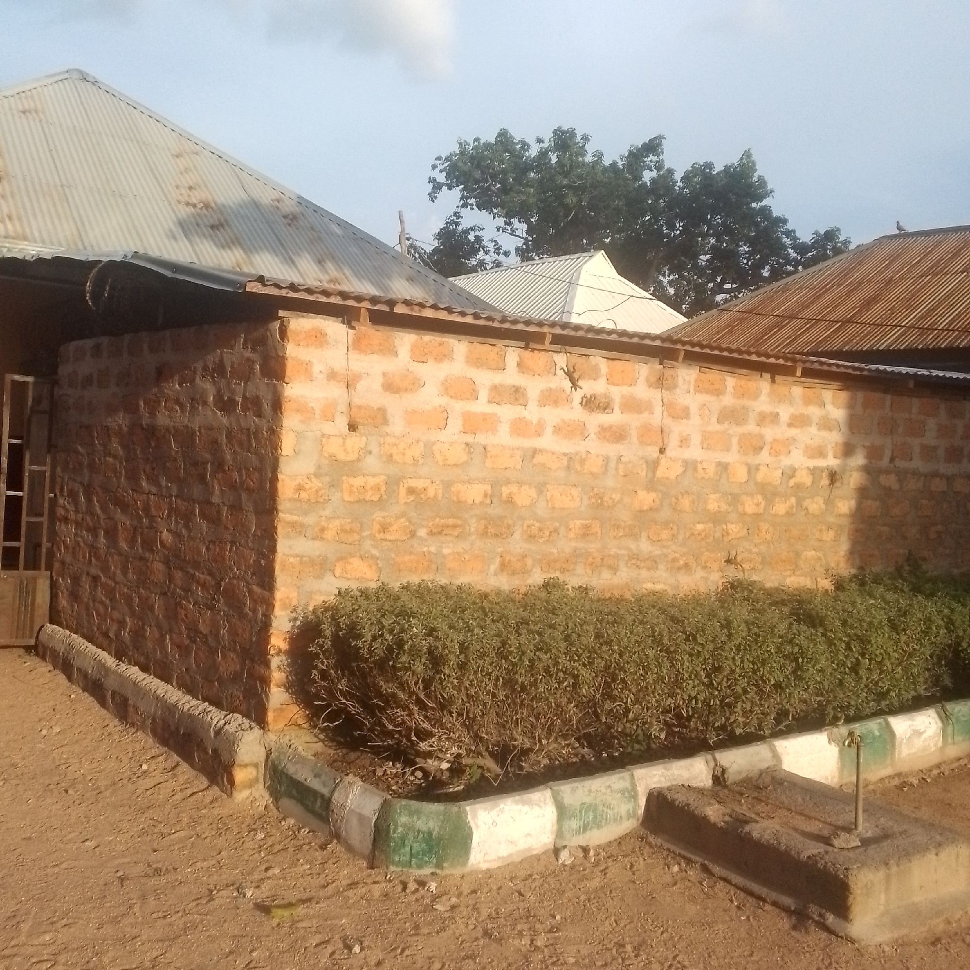 The image depicts a residential compound in Jalingo, Nigeria. The compound features a brick wall with a corrugated metal roof. A thick green hedge runs along the base of the wall, and a concrete structure with a water tap is visible in the foreground. The ground is covered in reddish-brown dirt. The sky is partly cloudy. The scene is static, with no people or animals clearly visible. The overall impression is one of a simple, functional outdoor space within a Nigerian urban environment.