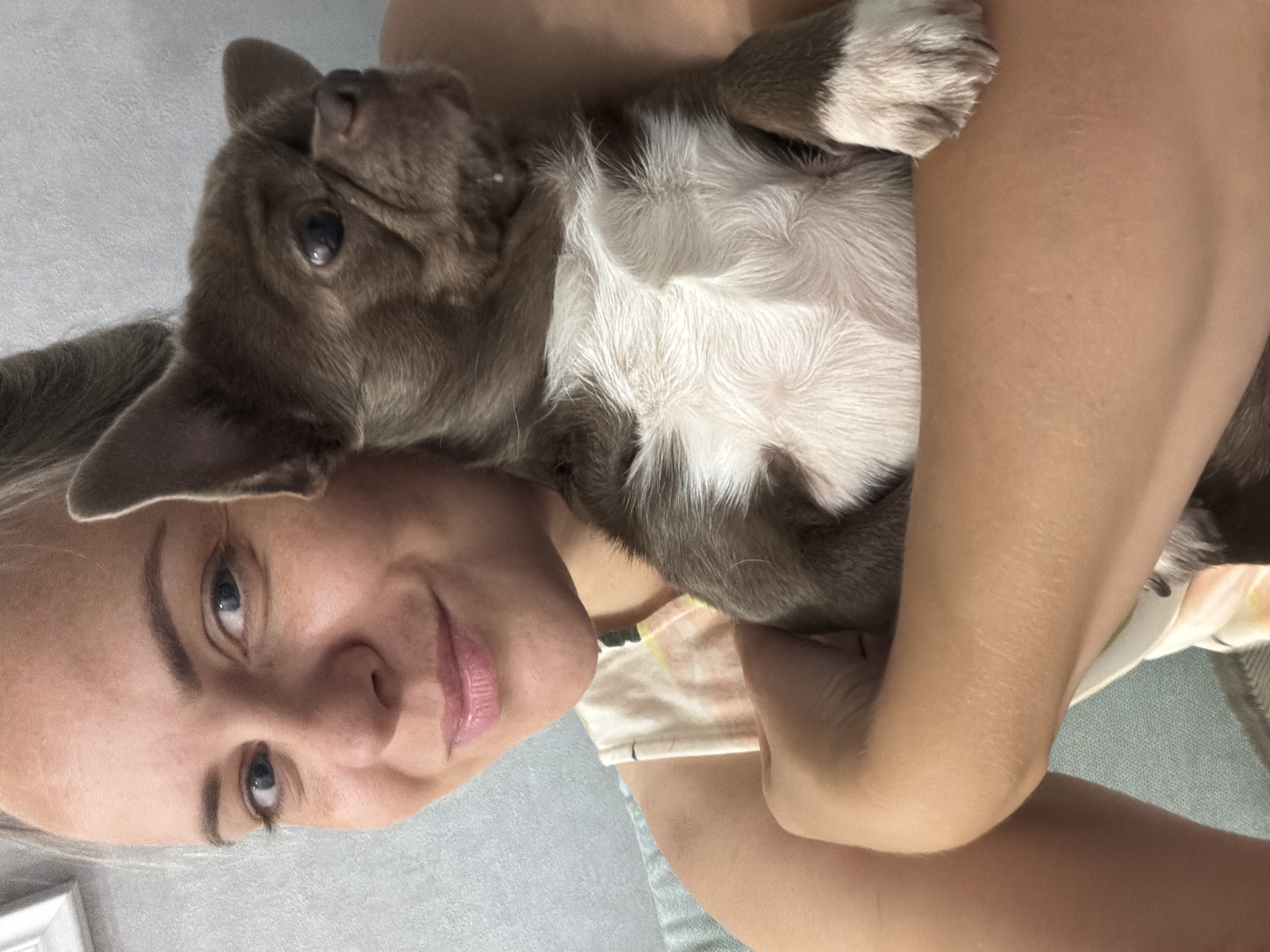 An overhead shot shows a woman holding a small, brown and white dog. The woman's face is partially visible on the left side of the image, with her eyes looking towards the camera. She has light-colored hair pulled back and is smiling. The dog, a chihuahua mix, is positioned on her right arm, facing away from the camera. Its brown fur is visible on its head and back, with a white chest and paws. The woman is wearing a light-colored, patterned tank top. The background is a plain, light-colored wall. The setting appears to be indoors, possibly a home. The image was taken in Votkinsk, Russia.