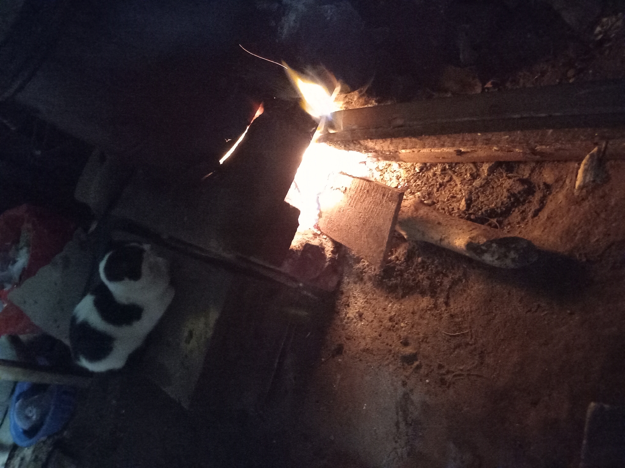 A black and white cat is lying on its side on a rough surface, with its eyes closed. The cat is partially obscured by a piece of wood. The scene appears to be outdoors, possibly in a rural area, as suggested by the presence of dirt, rocks, and vegetation. The lighting is dim, with a warm glow emanating from a fire or heat source in the background, creating a cozy atmosphere. There are no people visible in the image. The location is identified as Claket, Indonesia, a village known for its natural beauty and agricultural landscape.