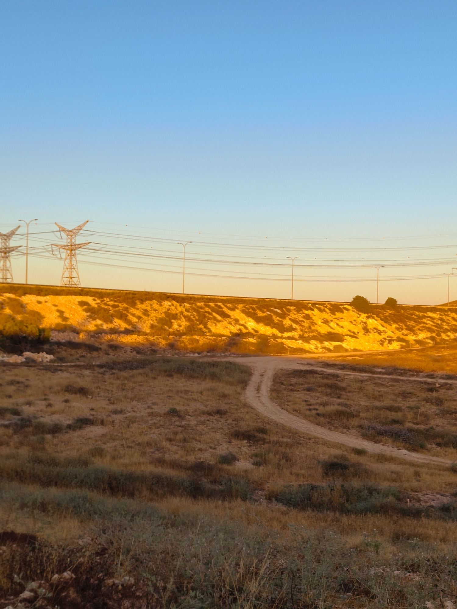 The image depicts a sun-drenched, arid landscape under a clear blue sky, characteristic of Be'er-Sheva, Israel. In the foreground, dry, golden-brown grass and scrub cover the uneven terrain, with a dirt path winding through it. A gentle slope rises towards the midground, where it is illuminated by the warm, intense glow of the setting or rising sun, highlighting the dry vegetation and sandy soil. Along the crest of this slope, a line of power lines stretches across the frame, supported by tall, angular metal pylons. Several streetlights are also visible along the top of the slope, suggesting the proximity of a road or infrastructure. The overall impression is one of a natural environment touched by human development, bathed in the warm, dramatic light of either dawn or dusk.
