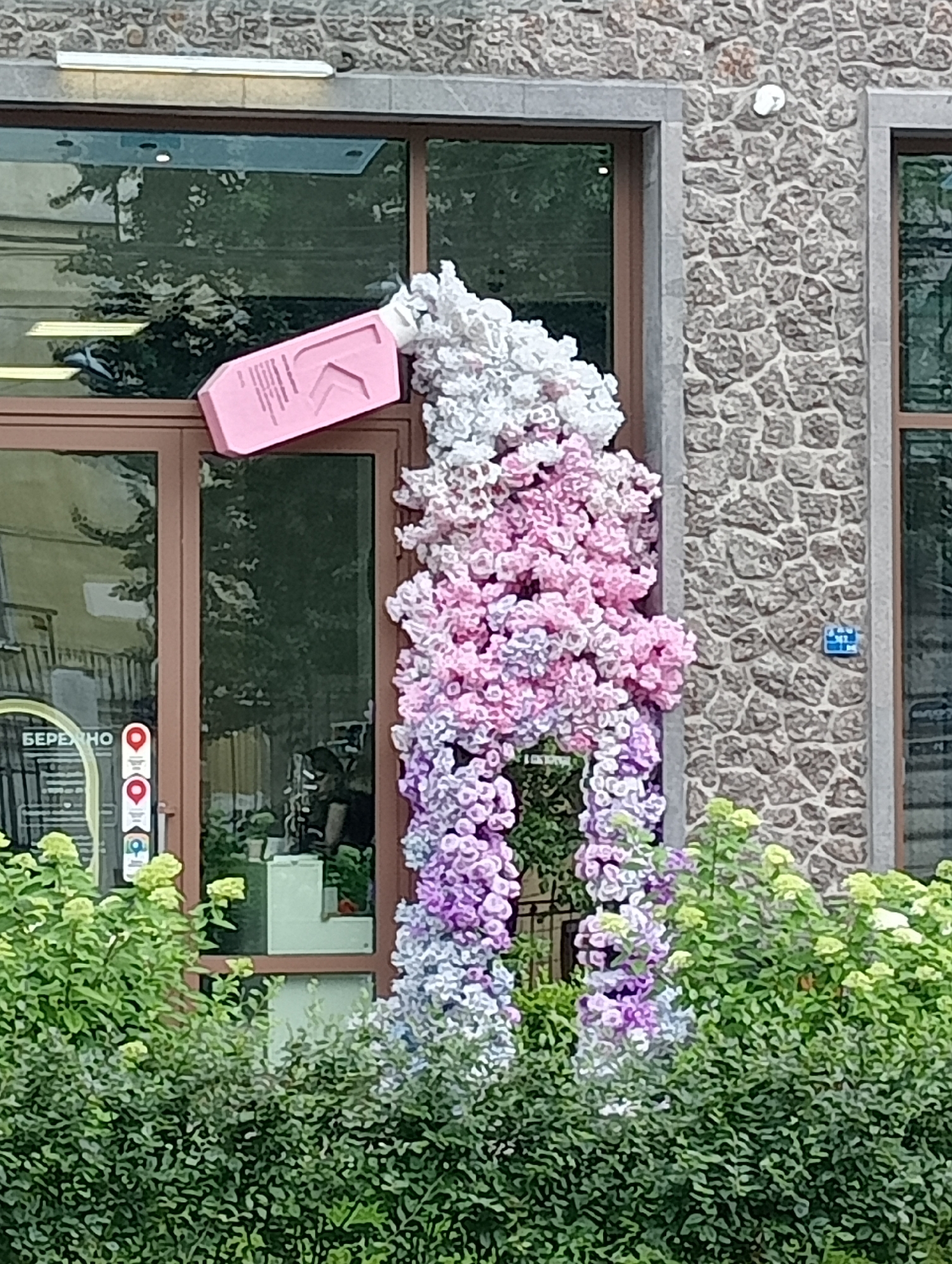 A pink, angular bottle-shaped object, possibly a prop, is positioned diagonally across the upper portion of a building's window in Saint Petersburg, Russia. The bottle is partially obscured by a cascade of white and pink floral decorations that extend downwards along the building's facade, transitioning to lighter shades of pink, purple, and lilac. These floral arrangements appear to be artificial. The building itself features a rough, grey stone exterior with a large glass window framed by dark brown material. A portion of another window is visible to the right. In the background, through the glass, trees and what appears to be an interior space with shelving are discernible. Below the window, lush green bushes and foliage are present, creating a natural foreground. The overall scene suggests an outdoor decorative installation on a building in a city environment.