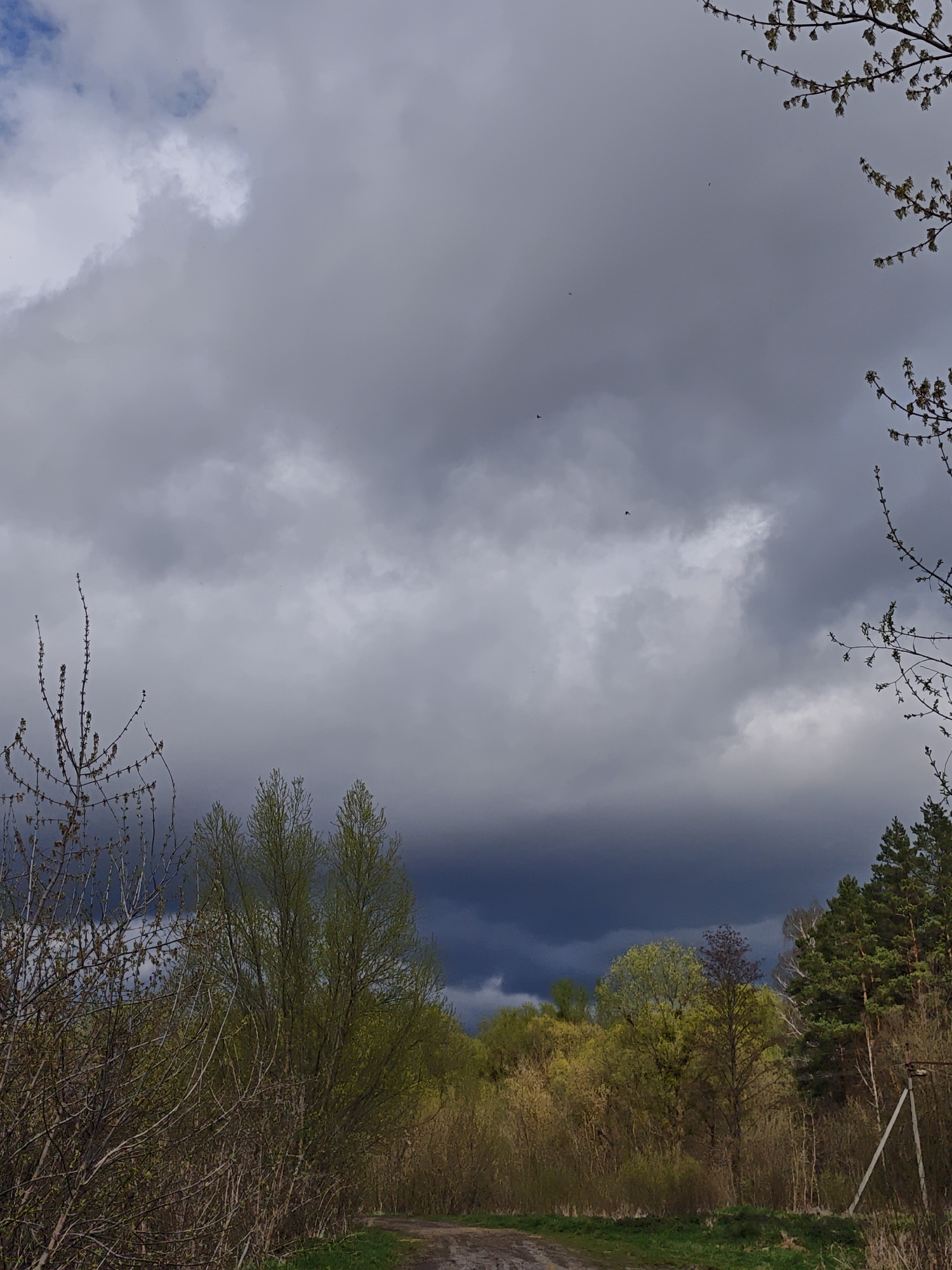 The image shows a landscape near Parkhomivka, Ukraine, under a stormy sky. Dark, ominous clouds dominate the upper portion of the frame. Below the clouds, a mix of trees and vegetation is visible, showing early signs of spring. The trees are varied, with some already displaying green foliage and others still bare. A dirt path runs along the lower portion of the frame. In the background, dense woodland, some with evergreen trees, is present. The lighting is dim due to the heavy cloud cover. There are some small, black birdlike objects in the sky.