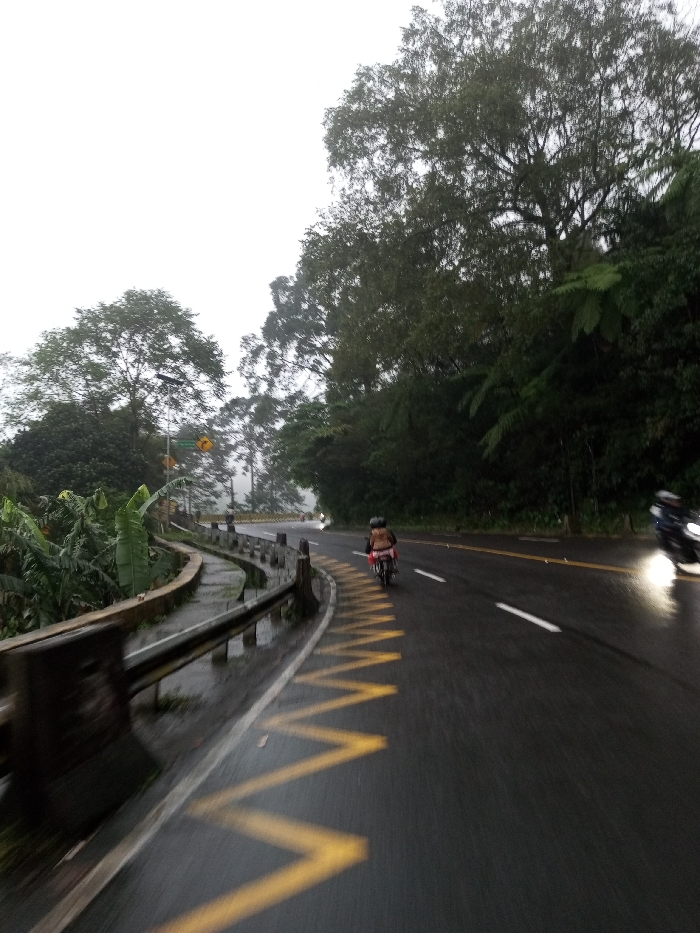 The scene depicts a wet asphalt road curving through a densely vegetated, possibly mountainous, area in Dawathang_Dorjibi_ Kashingtsawa, Bhutan, under an overcast sky. The road surface is visibly damp, reflecting ambient light. On the left, a yellow zigzag pattern is painted on the road shoulder, adjacent to a concrete barrier and a metal guardrail. Beyond the guardrail, lush green vegetation, including banana plants, thrives. Further left, a road sign on a pole with a solar panel is visible against a misty background.
Two motorcycles are present. One, positioned in the middle-left of the road and traveling away from the camera, carries a single rider wearing a helmet and light-colored clothing. This motorcycle appears light-colored, possibly white or silver. A second, dark-colored motorcycle with an illuminated headlight is partially visible on the right side of the road, moving towards or past the camera. Both vehicles are in motion. The surrounding environment is characterized by large, leafy trees and thick undergrowth, with mist obscuring distant details.