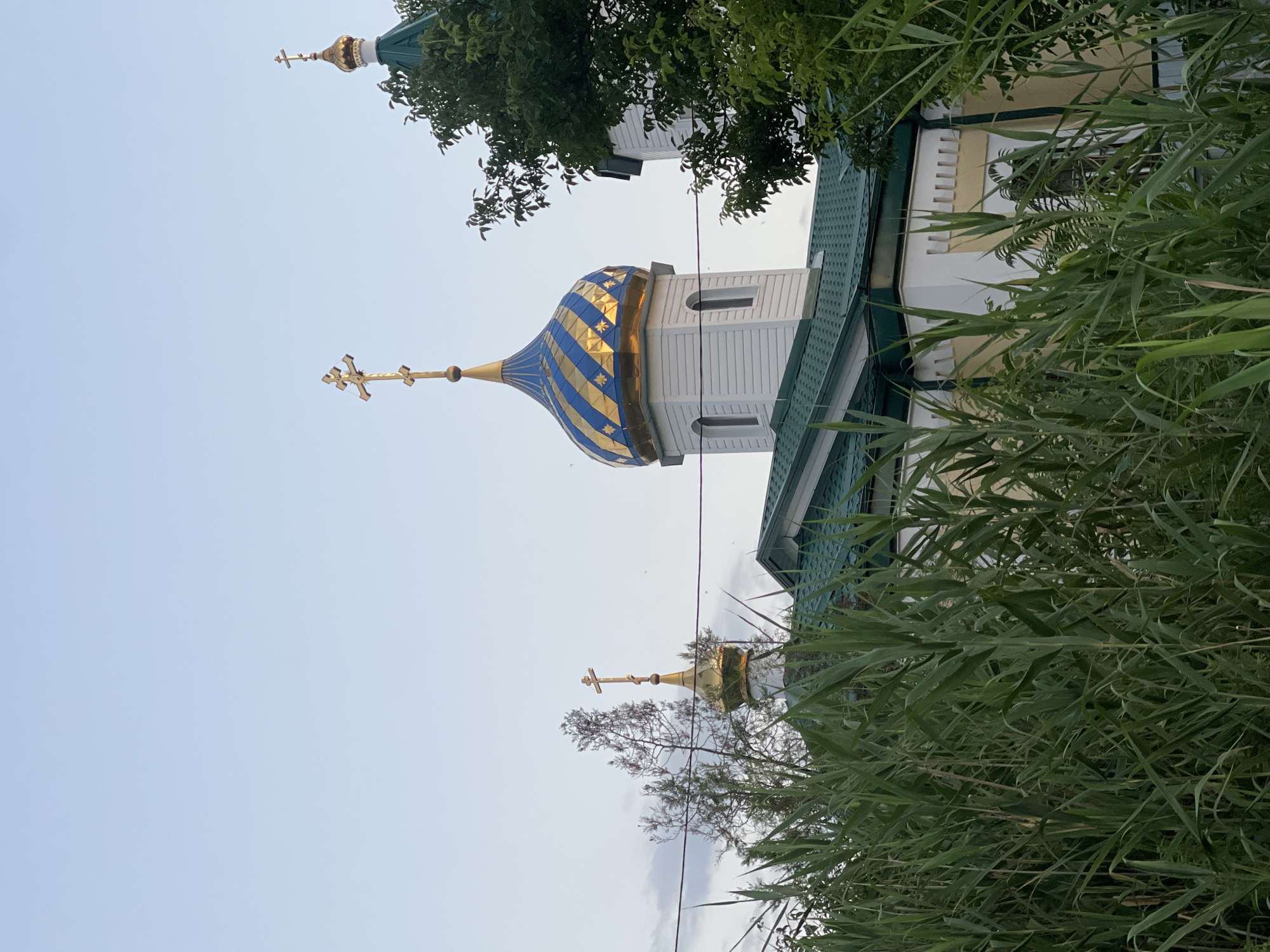 The image shows a church with green roofs and white walls, adorned with a blue and gold domed tower topped with a golden cross. The church is partially obscured by tall green reeds in the foreground. Other smaller golden crosses are visible on other parts of the church structure. The sky is a pale blue with some soft clouds. The scene appears to be outdoors, possibly in a rural or suburban setting within the city of Donskoye, Russia. No people are visible in the image. The overall impression is one of a serene, religious edifice surrounded by nature.