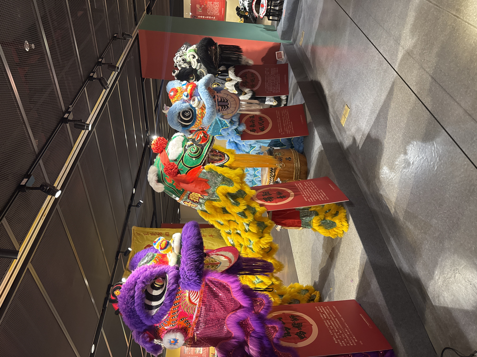 The image displays a row of four lion dance costumes, each with unique colors and designs, likely exhibited in a museum or cultural center. The costumes are arranged in a line on a gray stone floor, with informative plaques placed in front of each. The costume at the front features purple fur, followed by a yellow and green costume, a blue costume, and a black and white costume towards the back. The background showcases the museum's interior, characterized by a dark, geometrically patterned ceiling and wall. The scene evokes a cultural or historical context, possibly in the city of Liwan District, China.