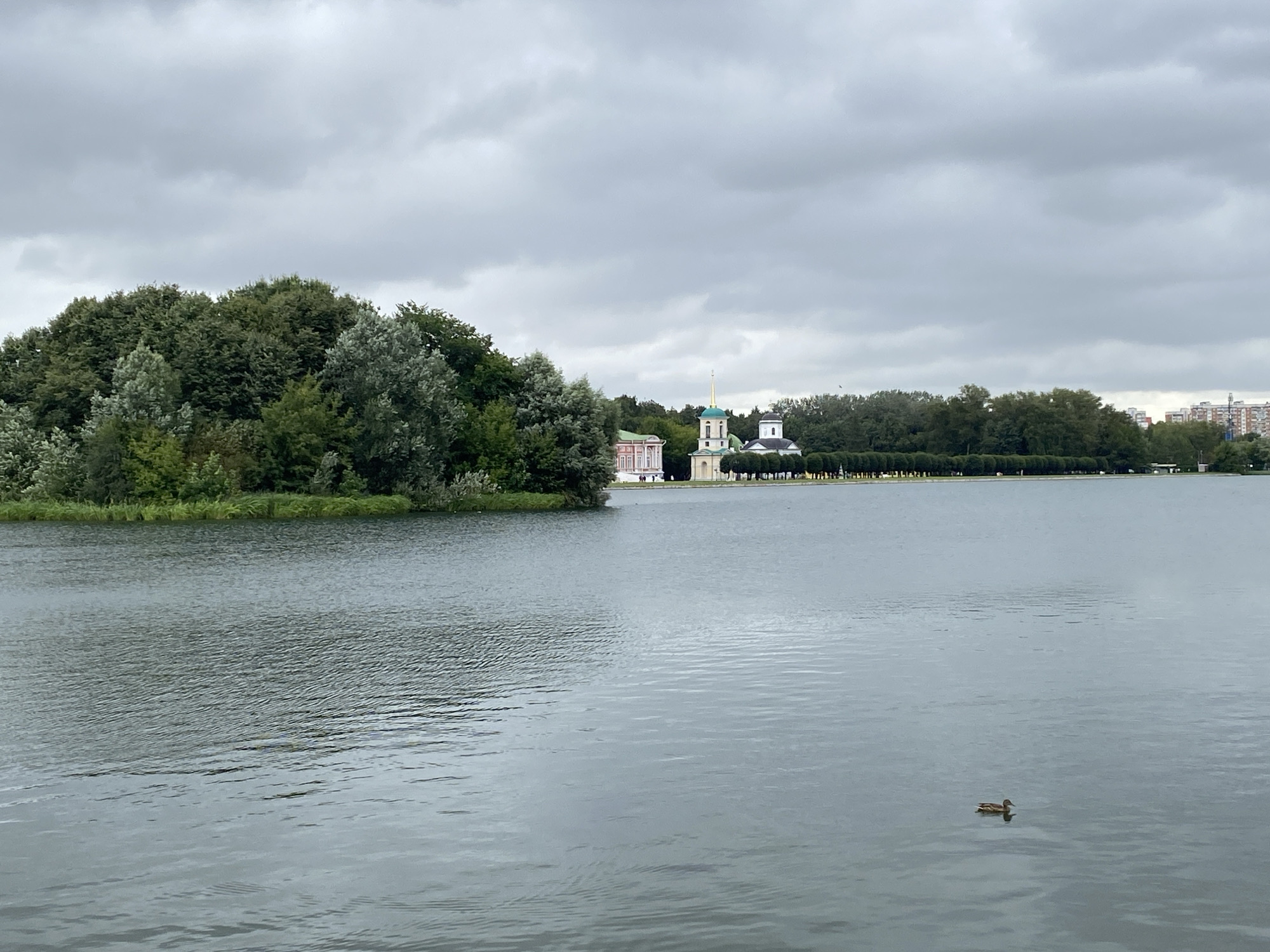 The image depicts a serene lake under a cloudy sky, with a lush green island on the left. On the far bank, a complex of buildings is visible, featuring a tall, green-domed structure and a white, classical-style building. The island is densely wooded with various shades of green foliage, while the lake's surface shows gentle ripples. In the middle distance, a lone duck is swimming on the water. Beyond the buildings, a row of manicured trees lines the shore, and further in the background, modern high-rise buildings are present on the right side of the image. The overall atmosphere is tranquil, with the muted colors of the overcast sky and the natural landscape creating a peaceful scene.
