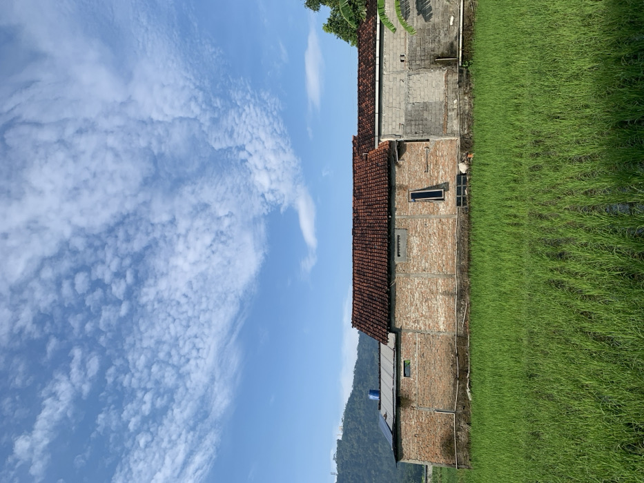 A brick building with a tiled roof sits in front of a green rice paddy field. The building is made of two sections. The section on the left is brick, the section on the right is grey concrete block. There is a window in each section. There are trees behind the building. The sky is blue with white clouds. There are no people in the image. The scene is located in Kecamatan Piyungan, Indonesia at coordinates -7.829 latitude and 110.483 longitude.