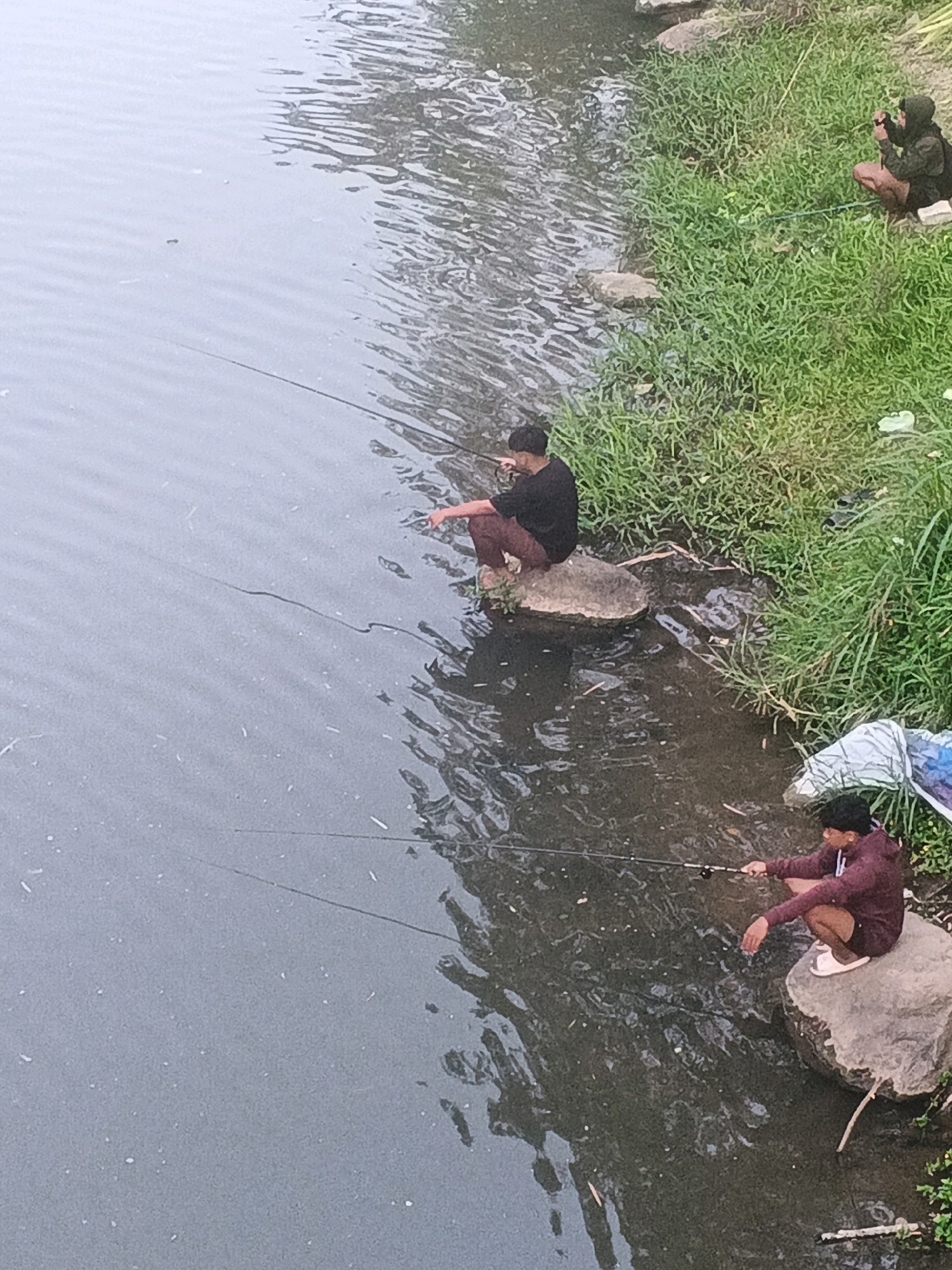 In Semarang, Indonesia, three individuals are depicted fishing by a river on a cloudy day. The river occupies the left side of the frame, its water rippling with a subdued gray tone. On the right bank, a dense growth of green grass lines the edge, interspersed with scattered stones and debris.
In the foreground, a person wearing a maroon hoodie and dark shorts sits on a large rock, fishing. Their fishing rod extends into the water. Further up the bank, another individual in a black t-shirt and brown pants is seated on a rock, also engaged in fishing. Their fishing rod is positioned in the water. In the background, on the grassy bank, a third person, wearing a dark hooded jacket and shorts, is seen holding a fishing rod, facing the water.
The scene suggests a casual, outdoor activity taking place in an urban or semi-urban environment, likely a river that flows through the city of Semarang. The presence of various fishing rods and the relaxed postures of the individuals indicate a focus on the activity of fishing.