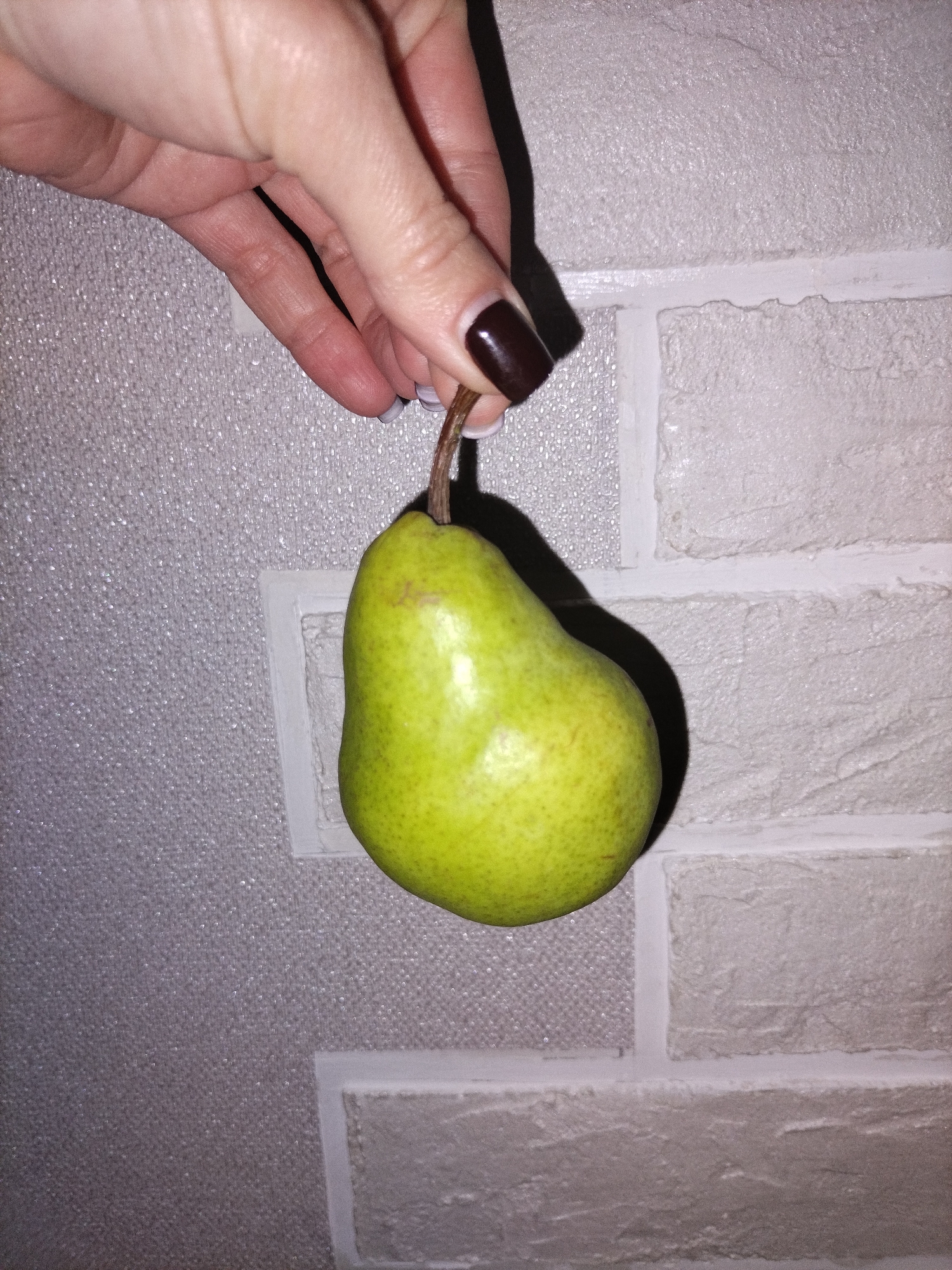 A person's hand is prominently featured in the upper central part of the image, holding a single green pear by its brown stem. The hand is slender, with neatly manicured nails; most nails are painted a dark, glossy reddish-brown, while the pinky nail is a lighter shade, possibly white or light gray.
The pear is a vibrant green color, speckled with lighter dots, and has the characteristic bulbous bottom tapering to a narrower neck. A strong shadow of the hand and the pear is cast on the textured background to the right, indicating an overhead light source.
The background is divided into two distinct textures. The left side displays a finely granulated, shimmering surface, possibly a wallpaper or fabric, in a muted grayish-white tone. The right side of the background features a light-colored, rough-hewn wall designed to resemble brickwork, with visible mortar lines creating a structured pattern. This suggests an indoor setting, likely within a home. There is no discernible text. The specific time of day or weather cannot be determined from the indoor environment, and no emotions are visible.