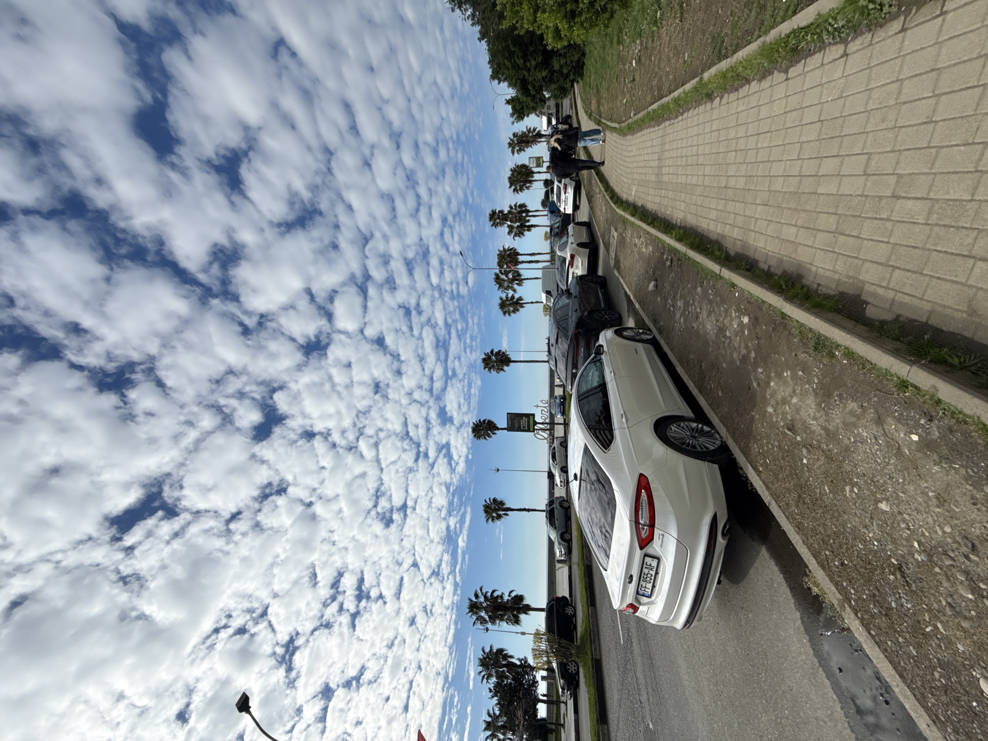 The image captures a bright, sunny daytime scene along a street in Batumi, Georgia. The sky is a prominent feature, showcasing a deep blue expanse filled with numerous scattered white clouds, giving a textured, altocumulus-like appearance.
In the midground, a row of palm trees lines the street, indicating a warm climate. Beneath them, several cars are parked alongside a paved sidewalk made of light-colored rectangular blocks. The sidewalk extends into the distance on the right, bordered by green grass and some dirt.
A few individuals are visible walking along this sidewalk in the mid-distance, engaged in casual pedestrian activity. Further along the road, more parked cars can be seen.
In the foreground, a white sedan is parked on the right side of the street. Its rear license plate, "FF-855-AF", is clearly visible. The road surface is asphalt, and there are some muddy or wet patches along the curb where the car is parked. A street lamp is visible on the left side, extending upwards into the sky. A distant sign is partially visible, appearing to show text that might read "NORTE" or "MORTE".
The overall setting suggests a pleasant, active day in a city with a tropical or subtropical feel, characterized by the palm trees and clear skies.
