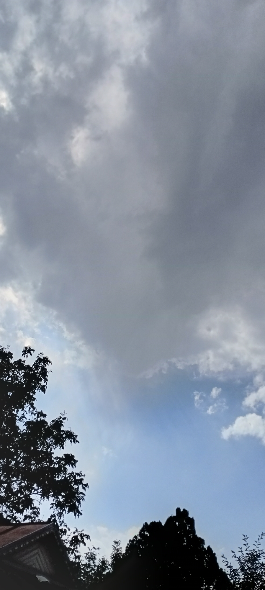 The image shows a partial view of the sky with scattered clouds and silhouettes of trees and a building. The sky is a mix of dark gray and lighter blue, suggesting it might be overcast or the sun is low in the sky. In the foreground, on the left, the dark silhouette of a tree with dense foliage is visible, and a portion of a building with a detailed roofline is also present. On the right side of the image, the dark silhouettes of more trees are visible, one of which appears to be a large evergreen. The environment suggests an outdoor scene, possibly in a residential area or a park, in Sokuluk, Kyrgyzstan. There are no people or discernible actions captured in the image.