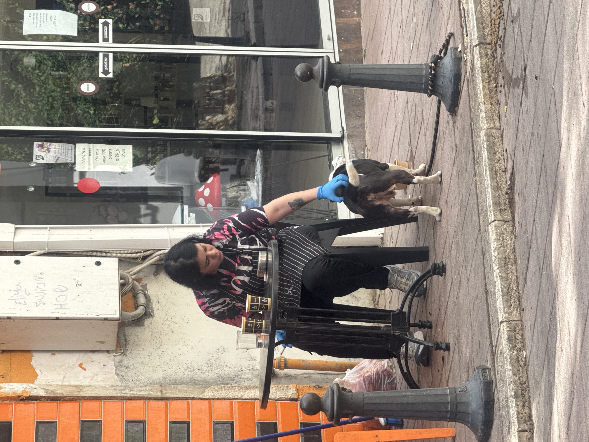 A person wearing blue gloves is sitting at a black metal outdoor table on a brick sidewalk, petting a black and white dog. The person has black hair and is wearing a pink and black patterned shirt and a black and white striped apron. There are coffee cups on the table. Behind them is the storefront of a business with advertisements in Hebrew in the windows, located in Ramat Gan, Israel. An electrical box is mounted on the wall next to the storefront. A black metal bollard is situated near the sidewalk.