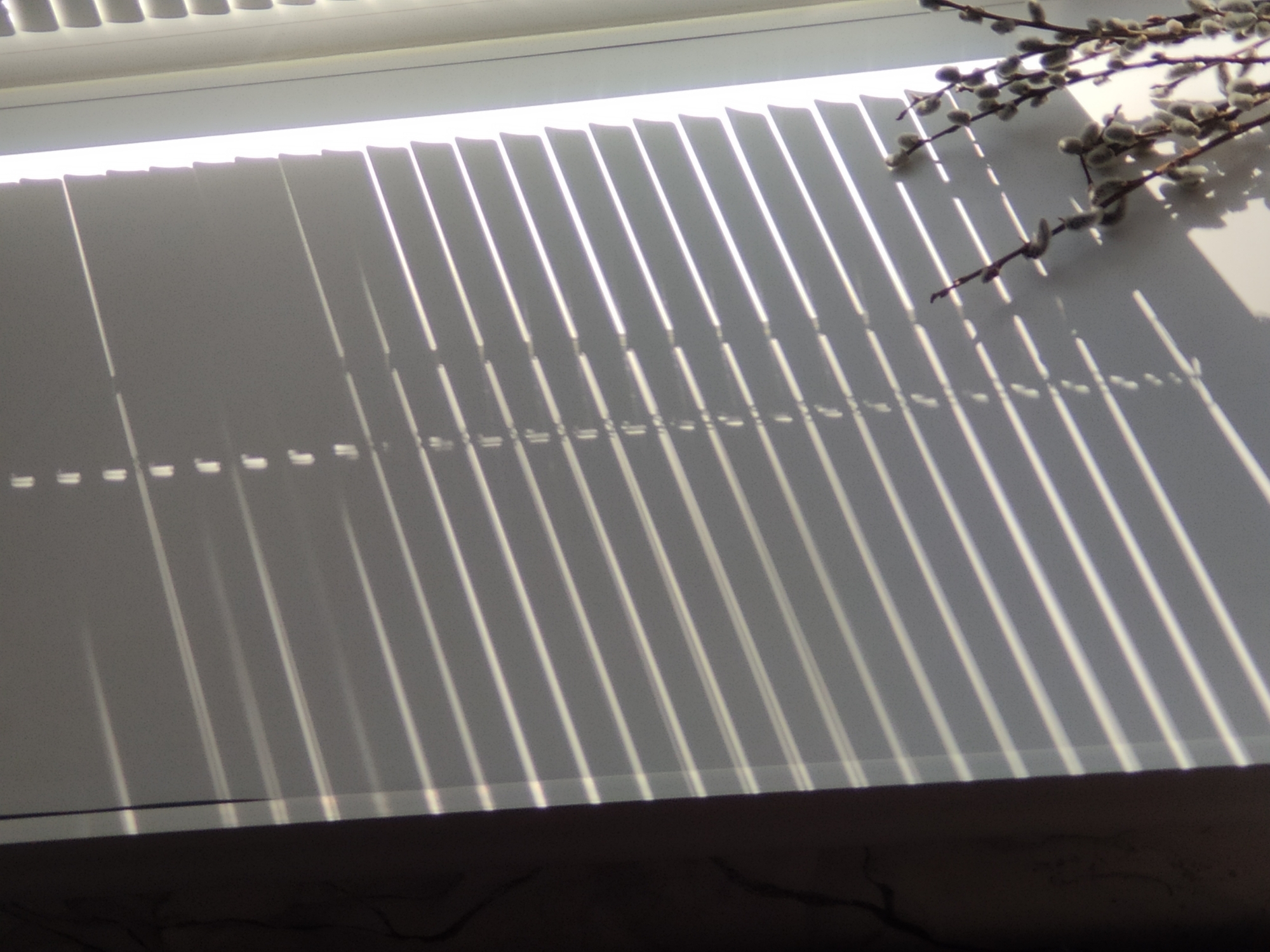 The image shows sunlight filtering through closed window blinds, casting striped shadows across a flat surface. A branch with fuzzy catkins lies partially on the surface, casting its own shadows. The surface appears to be a windowsill. The overall environment is indoors. There is no specific information to conclude it is located in the city of Sterlitamak, Russia.