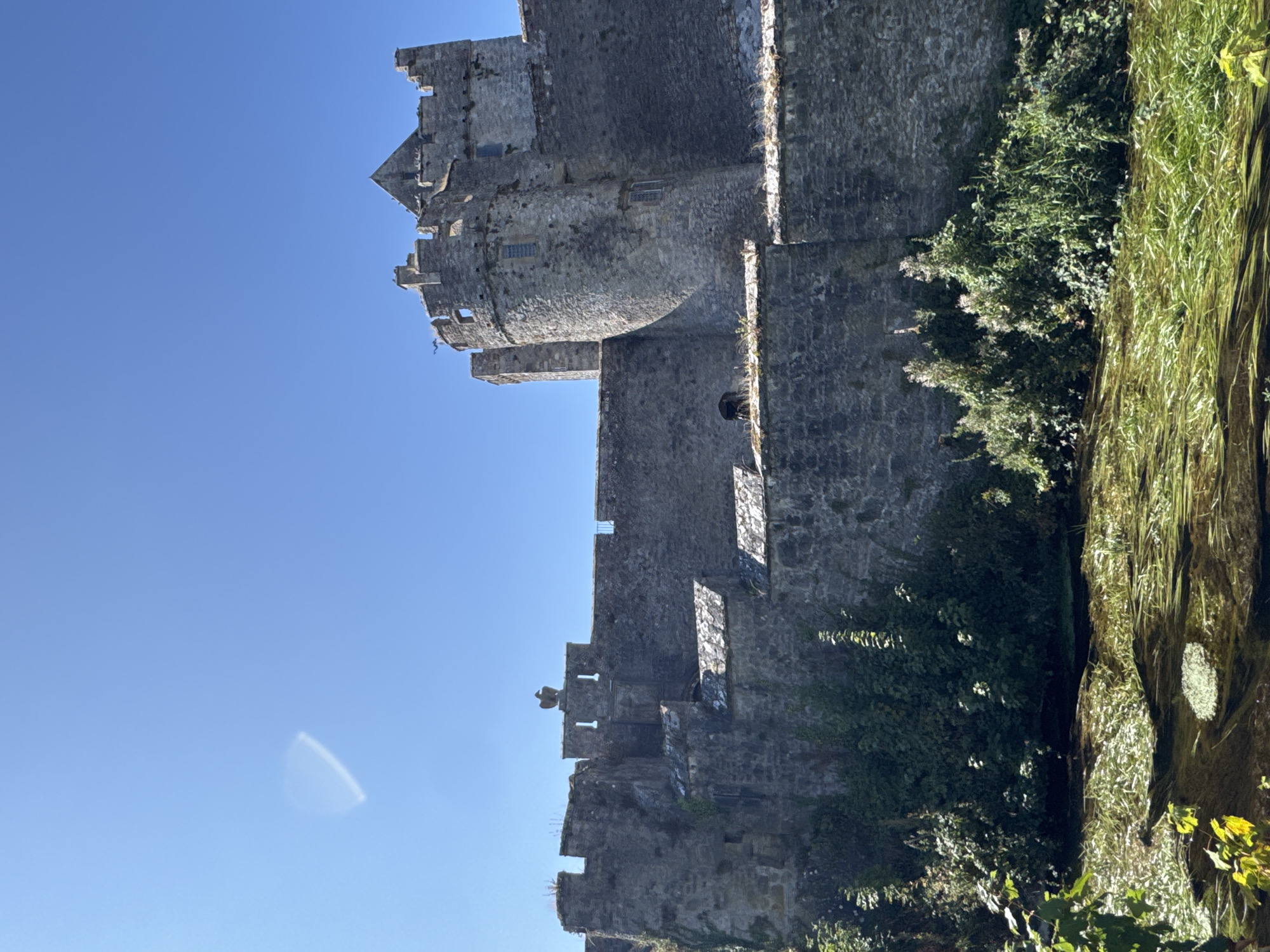The image shows a stone castle with a clear blue sky above. The castle appears to be in a state of partial ruin, with some sections of the walls and battlements crumbling. There is lush green vegetation growing around the base of the castle and a body of water in the foreground. A stone sculpture of a bird of prey is perched on a battlement in the center of the image. The castle is likely Cahir Castle, located in the town of Cahir, County Tipperary, Ireland, given its distinctive architecture and surrounding landscape. The scene appears serene and historical.