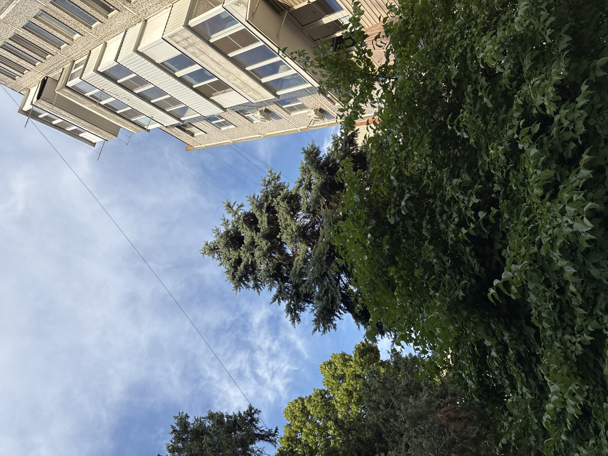 The image is a low-angle shot looking up at a residential building and trees against a blue sky with scattered white clouds. The building is multi-story, with a textured facade and numerous windows, some of which have balconies. There are also air conditioning units visible on the building. A telephone wire stretches across the sky. Lush green trees, including what appear to be fir trees and deciduous trees, fill the right and lower portions of the frame, partially obscuring the sky and building. The scene suggests an urban or suburban setting, likely during daylight hours with clear weather. The orientation of the image is rotated 90 degrees clockwise. There is no visible text in the image. The overall impression is one of a common view in a residential area with mature trees.