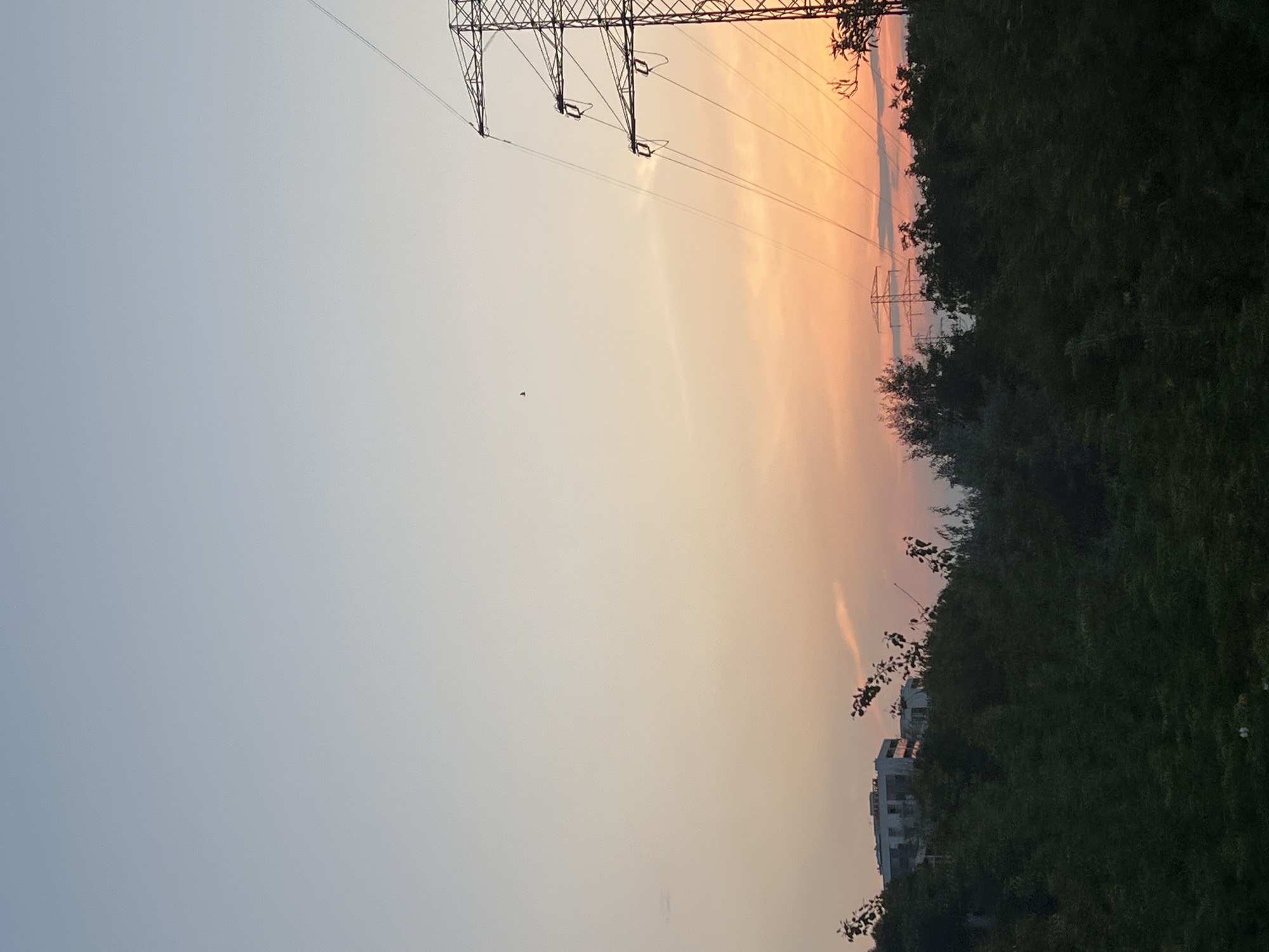 An image captures a sunset over a densely wooded area in Warsaw, Poland. A large electricity pylon dominates the right side of the frame, with its transmission lines stretching across the orange and pink-hued sky. In the background, a cluster of buildings is visible on a hill amidst the trees. The sky is clear with subtle wisps of clouds, and a small bird is visible in flight in the upper left portion of the image. The lower part of the image is filled with dark green foliage, obscuring the ground.