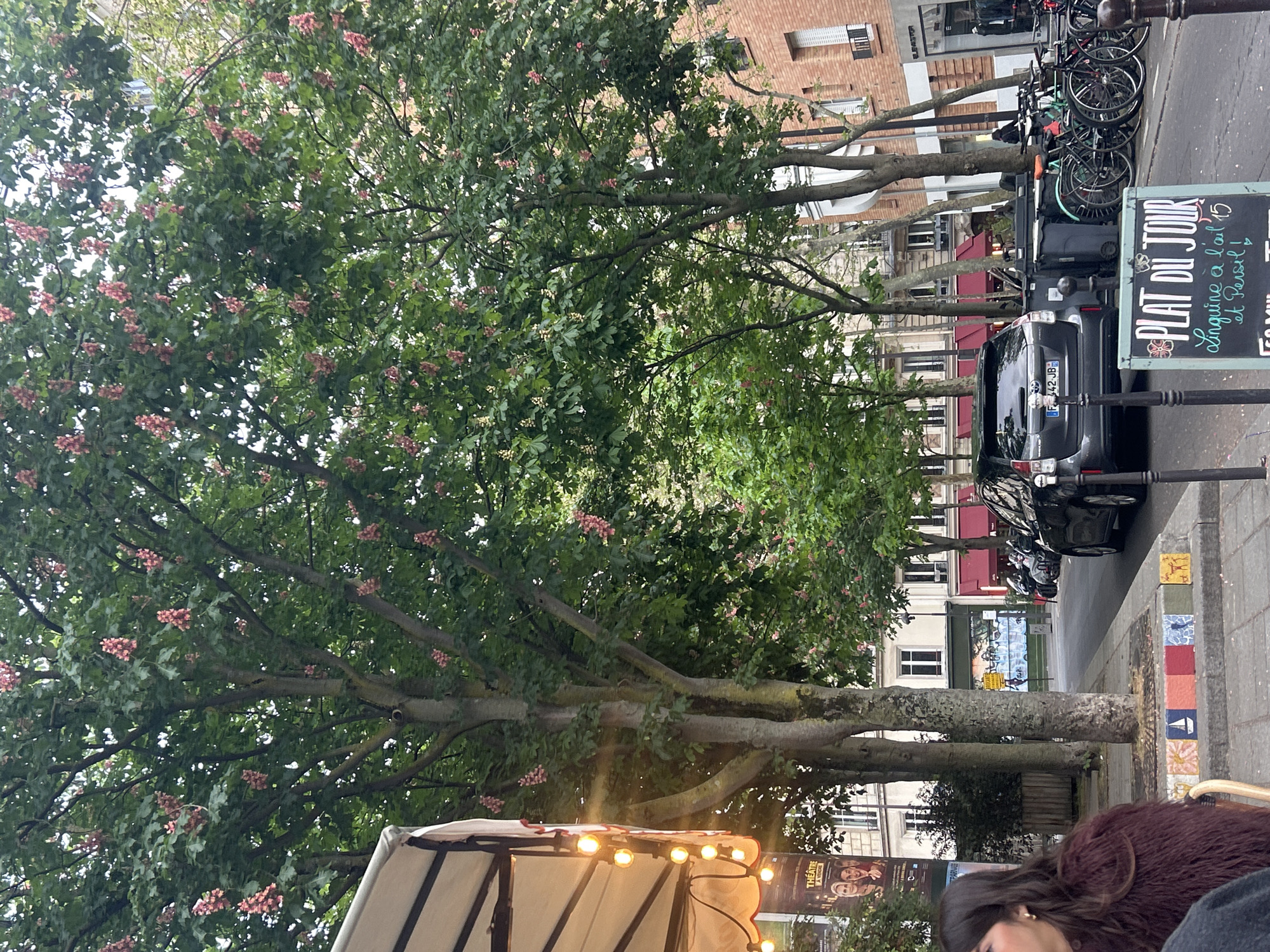 The image captures a street scene in Unknown, Unknown, likely a European city, with the camera positioned at a tilted angle. In the foreground, part of a person wearing a maroon furry coat is visible. Adjacent is an outdoor cafe tent roof, illuminated by string lights. Towering above is a large tree with pink flowers, partially obscuring the view of the buildings lining the street. Parked along the curb are a car and several bicycles. A sign displaying "PLAT DU JOUR," "Linguine à l'ail 15," and "et Persil!" is prominently placed. The background shows buildings with brick and white facades, and a sign for "THÉÂTRE A VEICRE" is visible.