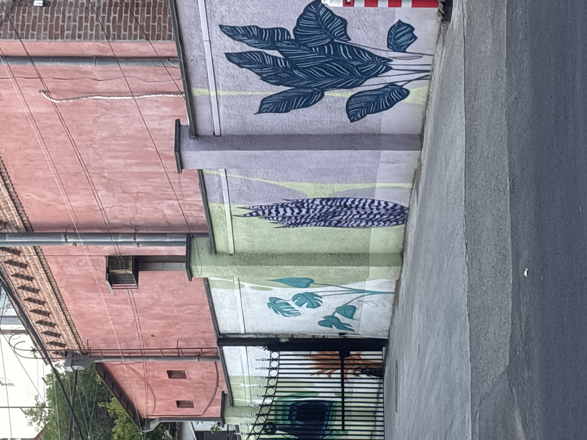 The image, rotated 90 degrees clockwise from its intended upright orientation, depicts a daytime street scene in Tbilisi, Georgia, showcasing architectural elements and vibrant murals.
On the left side of the frame, a multi-story building with a reddish-pink, textured facade stands prominently. Its surface is draped with multiple dark utility wires and pipes, and a brick parapet is visible along its roofline. Small, rectangular openings are visible on its lower sections.
Adjacent to this building, a large wall serves as a canvas for a series of distinct botanical murals. The uppermost mural section, set against a light purplish-grey background, features large, dark blue-green leaves with intricate venation, possibly resembling Calathea. Below this, separated by a thin, light yellow-green stripe, is another mural on a lighter green background depicting a long, striped form in dark blue and white, possibly a stylized feather or seed pod. The lowest visible mural section, on a white background, showcases lighter blue-green plant motifs, possibly Monstera leaves.
At the base of the mural wall, a black metal gate with circular decorative elements is partially visible. To the right of the mural wall, a grey paved surface, likely a sidewalk or road, extends into the distance, exhibiting variations in tone and texture. A sliver of light sky is visible on the far left. The scene is devoid of people or discernible activity, and there is no visible text. The overall impression is a quiet urban setting enlivened by street art.