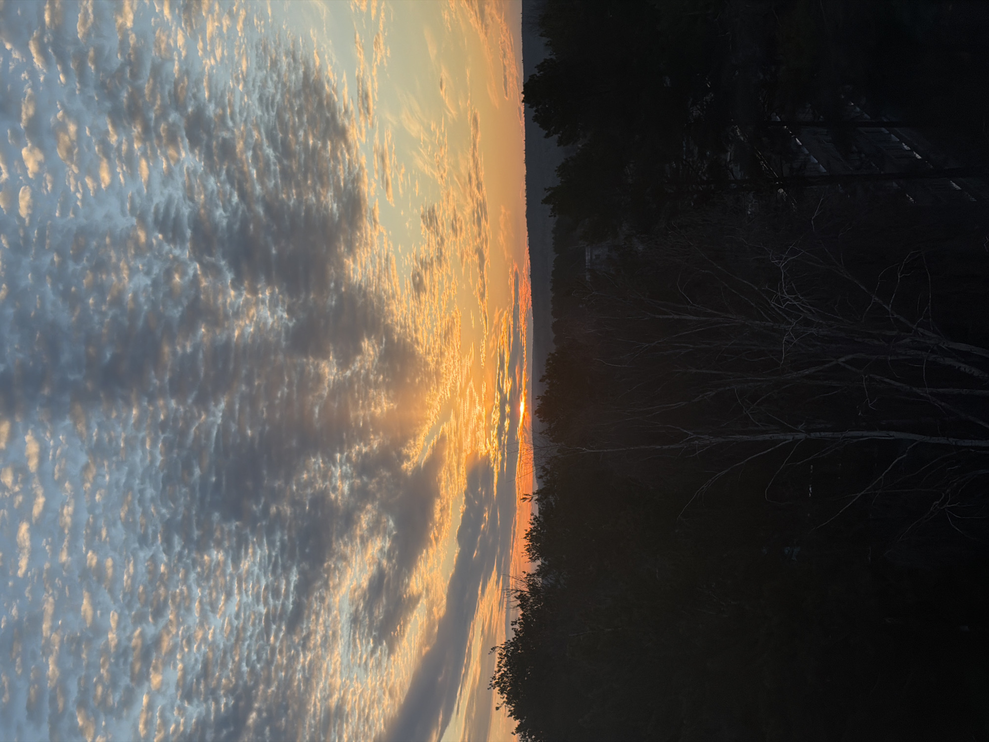 The image shows a sunset landscape in Chaikovsky, Russia. The sky displays a gradient of colors, with the sun low on the horizon, obscured by a dark line of land in the distance. The left side of the image features a sky full of patterned clouds tinged with orange hues from the sunset, while the right side is dominated by dark, indistinct trees and foliage, obscuring any detailed view. The contrast between the illuminated sky and the dark foreground is significant. Bare tree branches can be seen in the darkened area.