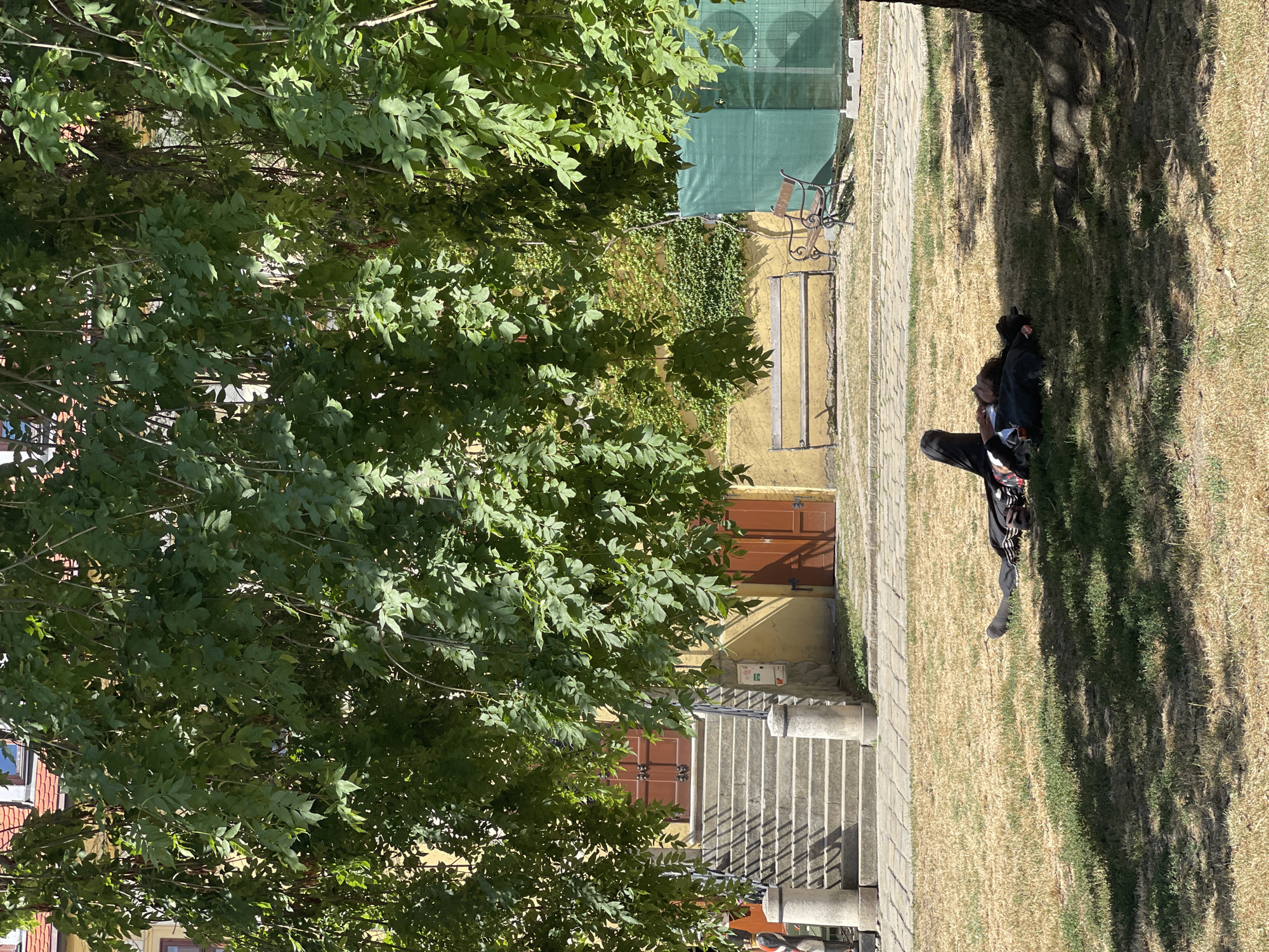 A person lies on dry, patchy grass under the dappled shade of a large tree in a courtyard. The person is lying on their back with their head resting on their arms, appearing to be asleep or resting. They are wearing dark clothing with white stripes down the legs of their pants and a jacket. A black dog is also lying next to the person. In the background, a stone staircase leads up to a building with two wooden doors. To the right of the stairs, a yellow wall is visible, with more wooden doors. Further in the background, there are two benches, one made of wood and the other with a metal frame. A green tarp-like structure is also present. The scene is bathed in sunlight, creating distinct shadows on the grass. The architectural style suggests a historic European setting, possibly within Bratislava, Slovakia.