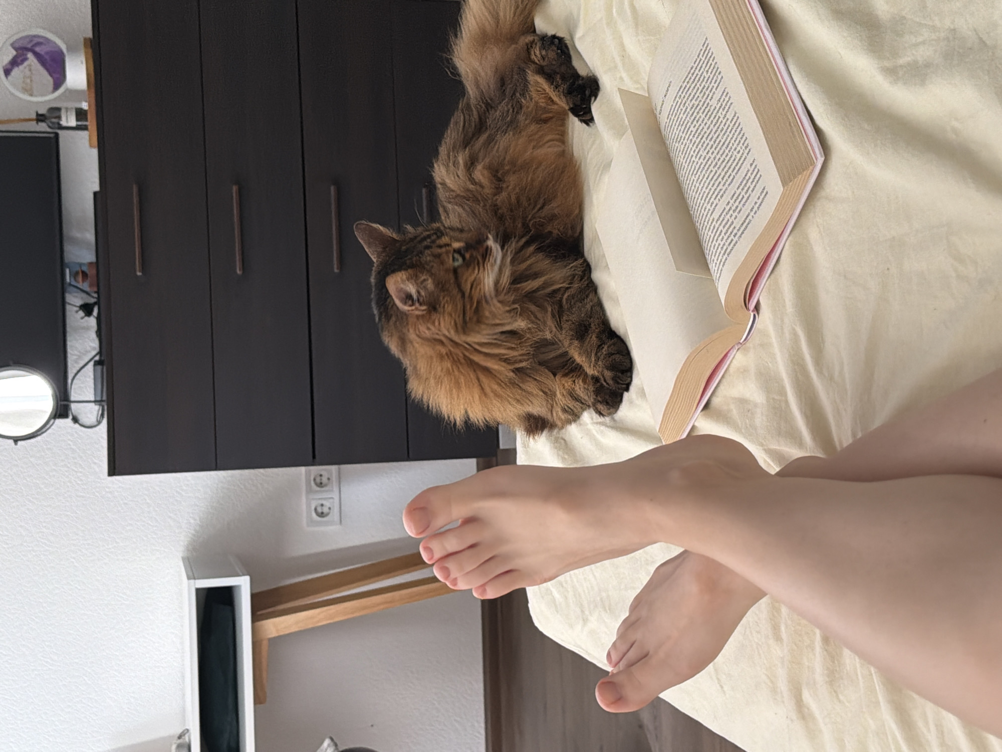 The image depicts an indoor scene, likely a bedroom, with a light-colored bedspread dominating the foreground. Two human feet, with visible toenails, are crossed at the ankles, positioned on the bedspread. To the right of the feet, a brown, long-haired cat is lying down, looking to the left. In front of the cat and feet is an open book with visible text. In the background, a dark brown dresser with three drawers is visible, topped with a mirror and some decorative items. To the left of the dresser, a white desk with wooden legs stands against a white wall. The overall impression is a relaxed, domestic setting. The image does not contain any information to suggest a specific location in Kyiv, Ukraine.
