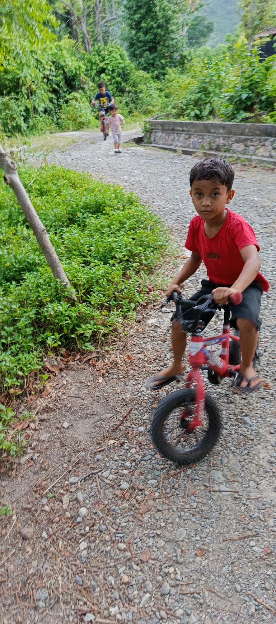 In Pashiebeutong, Indonesia, a young boy, approximately 6-8 years old, is captured in a medium close-up shot, riding a red bicycle on a gravel path. He is wearing a red t-shirt and black shorts, with his feet in dark flip-flops. The boy is looking directly at the camera with a neutral expression. The bicycle has a black handlebar and a visible red brake lever. Behind him, another boy on a bicycle and a third child walking are visible further down the path, receding into the background. The environment is lush and green, with dense vegetation and trees flanking the path. A low stone wall is present on the right side of the path. The ground is covered in small pebbles and dirt, with some fallen leaves and twigs. The lighting suggests it is daytime, with soft natural light filtering through the trees.