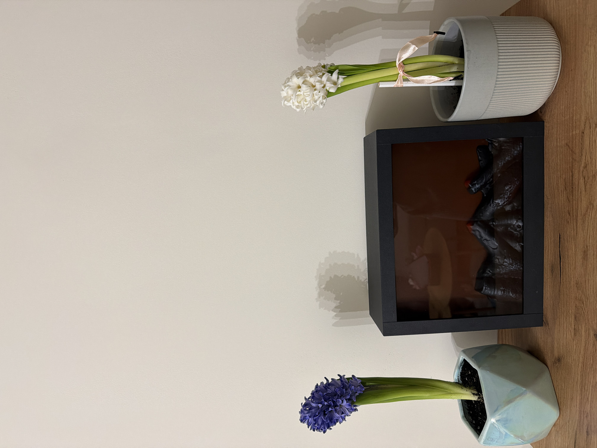 The image shows a still life arrangement against a neutral-colored wall, likely indoors. The arrangement is positioned on a wooden surface, possibly a table or shelf. The objects present include:
1. **Two potted hyacinths:** One with white flowers in a light grey ribbed pot, and another with blue flowers in a light blue geometric pot.
2. **A black-framed display box:** The contents are difficult to discern but appear to be a dark-colored decorative object.
The image is horizontally oriented. The absence of recognizable landmarks or specific local details precludes any determination of the precise location within Sofia, Bulgaria.
