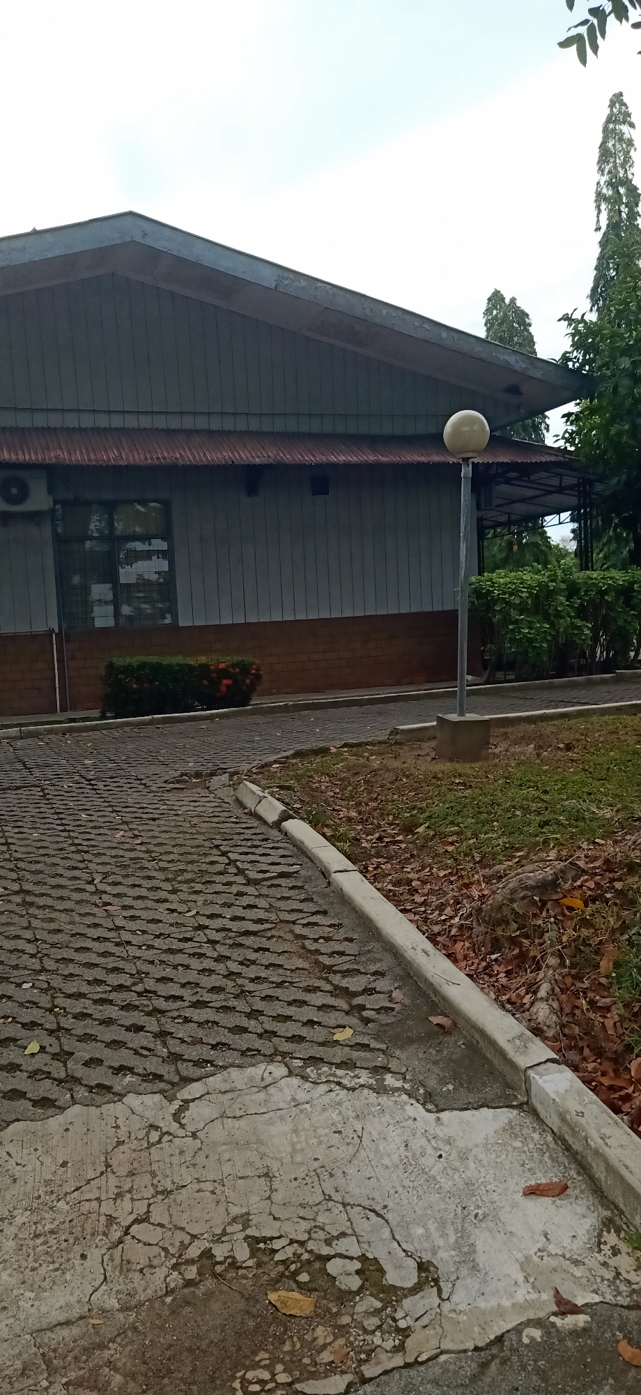 The image shows a low-angle exterior view of a light-colored, single-story building with a metal roof and brick lower facade. The building is situated in Palohgadeng, Indonesia. A paved walkway made of interlocking concrete blocks, showing signs of wear and cracking, leads towards the building. A concrete curb separates the walkway from a grassy area with fallen leaves and a tall tree. A single, spherical lamp post stands on a concrete base near the walkway. The building has several windows and an air conditioning unit mounted on its exterior wall. Green bushes with red flowers are visible in front of the brick facade. The sky above is overcast.