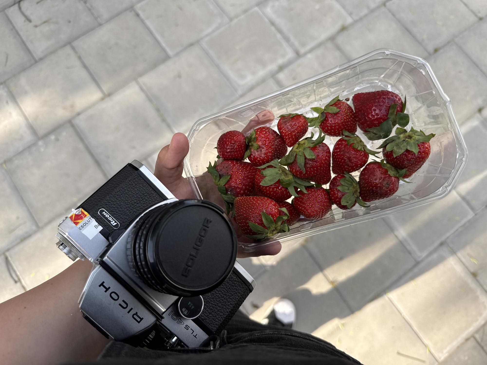 A person is holding a transparent plastic container of strawberries in their right hand, while simultaneously holding a black and silver Ricoh TLS 401 film camera in their left hand. The lens has a black cover with "Soligor" written on it. The strawberries are ripe and red with green leafy stems. The background is a grey paved surface of interlocking rectangular stones. The person is wearing dark-colored clothing. A glimpse of a white sneaker is visible in the lower background. The image was captured in Plovdiv, Bulgaria.
