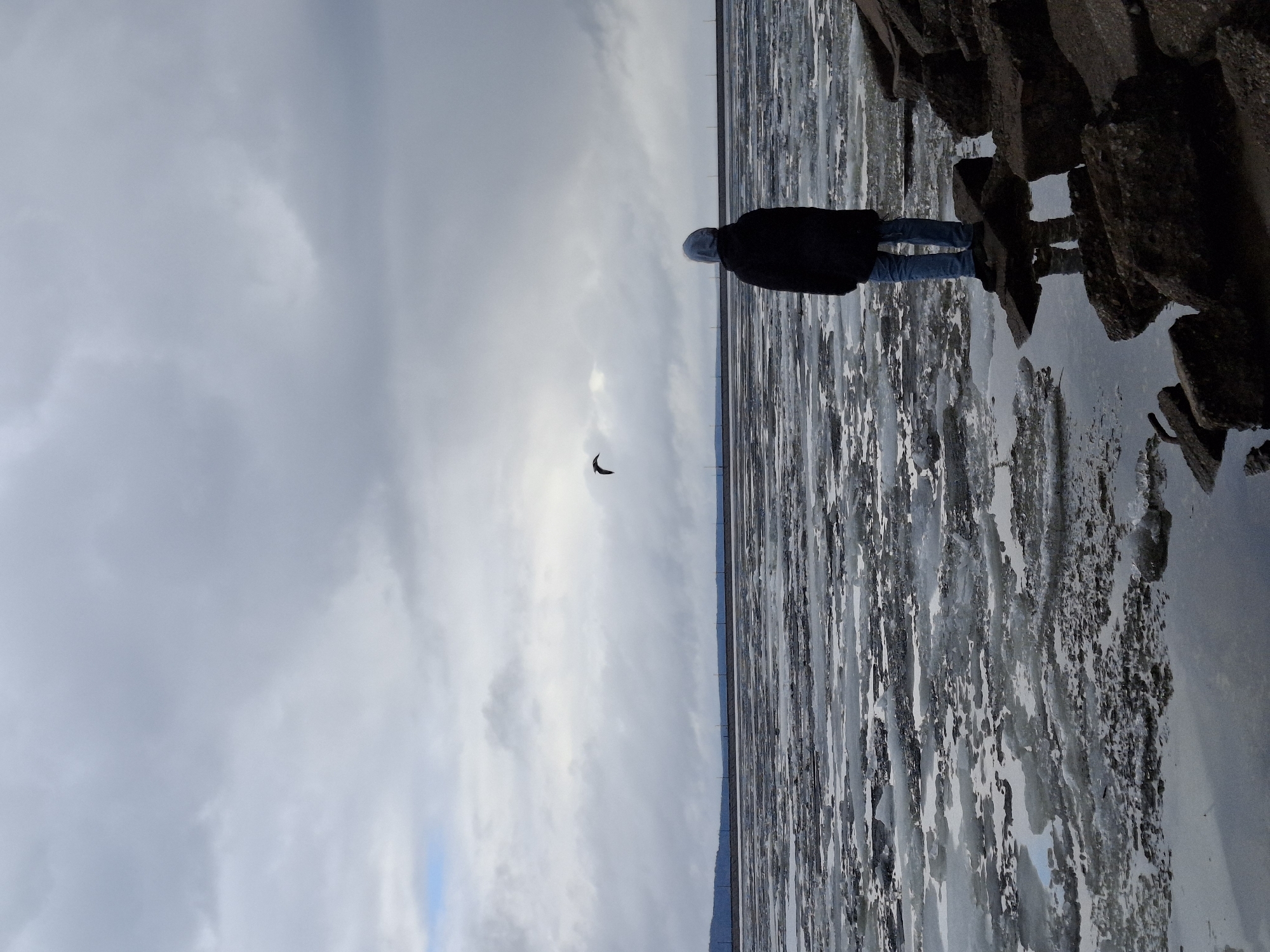 A person stands on a rocky shoreline in Chaikovsky, Russia, overlooking a body of water with ice floes. The person is wearing a dark jacket and blue jeans and is facing away from the viewer. A bird flies in the sky. The sky is overcast with grey clouds. Power lines are visible in the distance. The photograph is taken at a wide angle, emphasizing the vastness of the scene. The ground is wet, reflecting the sky and surrounding objects.