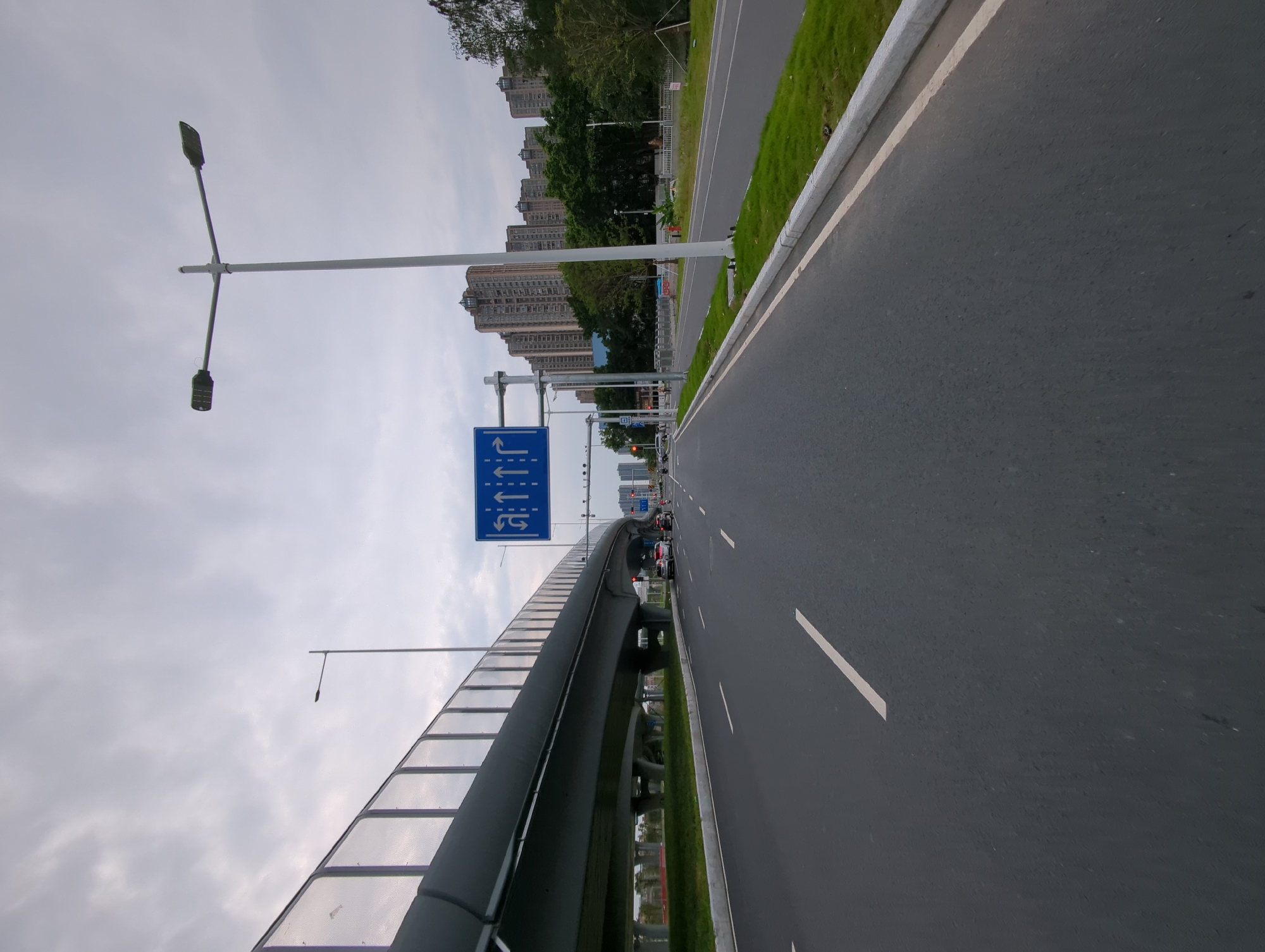 The image depicts an elevated roadway in the Shunde District of China, as evidenced by the architectural style and signage. The roadway appears to be recently constructed, judging by the clean asphalt and fresh landscaping. A blue directional sign is visible, indicating lane options. The road is lined with green landscaping on the right side. A covered pedestrian overpass runs parallel to the road. Multiple high-rise buildings are located in the background. The sky is overcast. Several vehicles are further down the road.