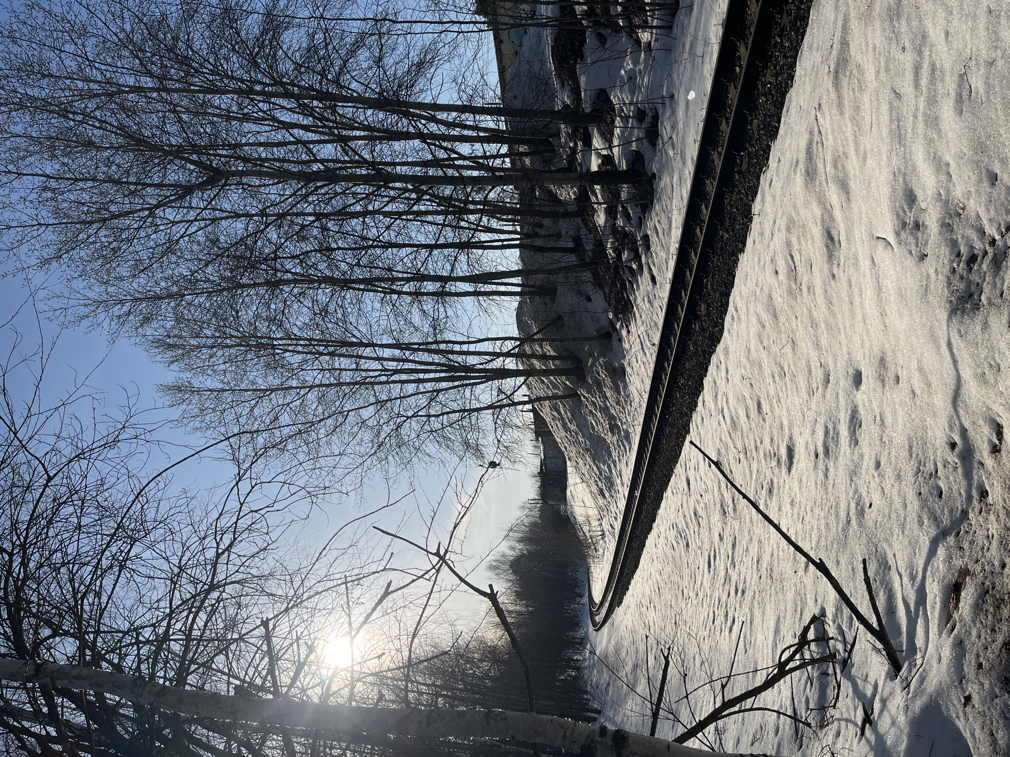 The image depicts a snowy landscape alongside a section of railway tracks in Chaikovsky, Russia. The ground is covered in snow, with visible tracks and shadows. A line of bare trees stands along the edge of the tracks, casting shadows on the snow. The sun is shining brightly, with its light diffused through the branches of trees in the foreground, some bare birch trees can be seen. The sky is blue. In the distance, structures can be vaguely seen. There are no visible people or animals besides one bird.