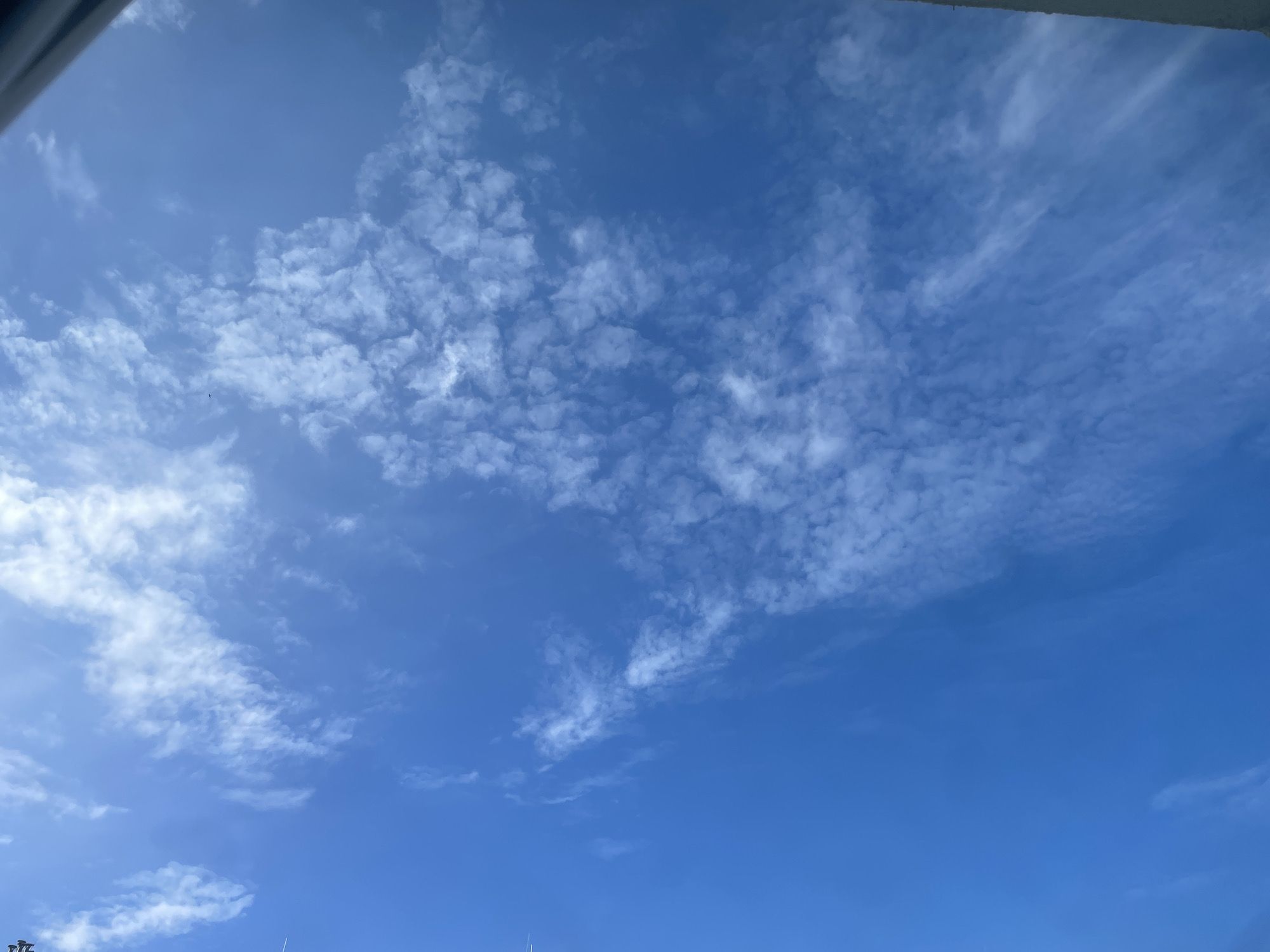 This image shows a bright blue sky with scattered white clouds. The perspective is from below, looking upwards. In the lower portion of the image, a dark, horizontal structure, possibly a railing or the edge of a building, is visible, cutting off the bottom part of the scene. The clouds vary in density, with some appearing wispy and stretched, while others are more clustered and defined. The overall impression is of a clear, pleasant day. The specific location in Kołobrzeg, Poland, cannot be determined from the visual information provided in the image.