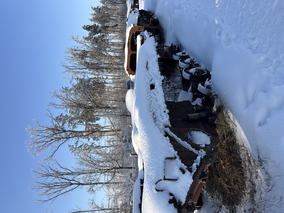 The image depicts an outdoor winter scene in Dmytrivka, Ukraine. Multiple heavily rusted and derelict military vehicle hulls, consistent with armored personnel carriers or infantry fighting vehicles, are partially buried in deep, white snow and arranged in a linear formation stretching into the background. These vehicles lack turrets, engines, and other major components, exposing their internal structures. Icicles are visible hanging from the snow-laden edges of the vehicle hulls. The foreground and immediate surroundings are blanketed in deep, white snow, with patches of dry, brown vegetation visible emerging from the snow near the base of the lead vehicle. Footprints are visible in the snow on the right side of the frame, trailing into the background. The background features a dense stand of trees, including both bare deciduous trees and evergreen pine trees, all heavily coated in frost or ice. The sky above is clear and bright blue, indicating sunny conditions. No individuals are present in the scene.
