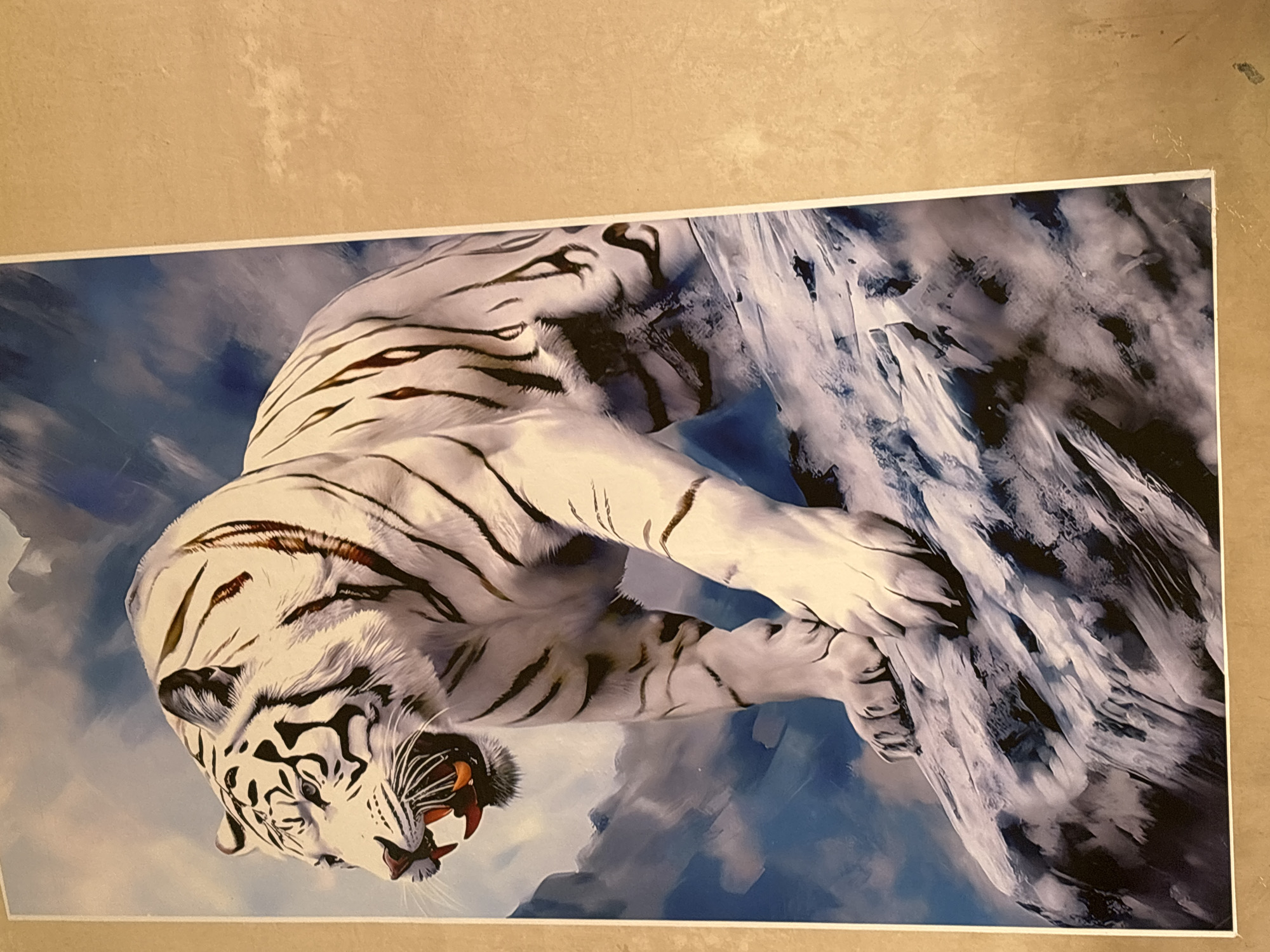 The media file is a photograph of a white tiger roaring. The tiger is the primary subject, depicted in a dynamic pose with its mouth open, revealing sharp teeth and a reddish tongue. Its fur is white with black stripes, and its eyes are a piercing blue. The tiger appears to be on a rocky or icy surface, indicated by the textures and colors in the background. The background features a mix of blues and whites, suggesting a sky or a cold environment. The lighting on the tiger is dramatic, highlighting its muscular build and fierce expression. There is no visible text in the image. The overall impression is one of power and wildness. The location context provided is Cotkeutapang, Indonesia, though there are no explicit visual cues in the image to confirm this specific location. The time of day and weather are not discernible from the image.