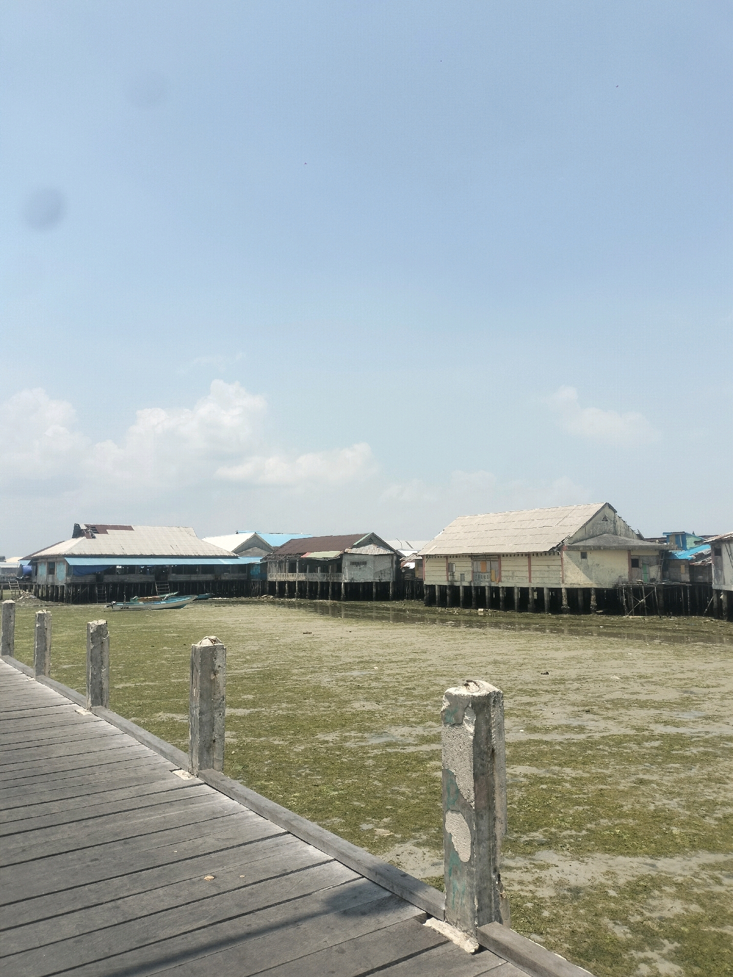 The image depicts a waterfront scene in Dobo, Indonesia, characterized by stilted houses built over a shallow, muddy expanse. A wooden boardwalk occupies the foreground, leading the viewer's eye towards a row of these overwater structures. The houses are varied in their construction, with some featuring tin roofs and others more traditional materials, all raised on dark wooden stilts. A small boat is visible in the water near the houses. The environment appears to be a tidal flat, with the water level low, exposing algae or seaweed covering the muddy bottom. The sky is predominantly clear with a few scattered clouds. The overall impression is of a coastal settlement adapted to its watery surroundings.