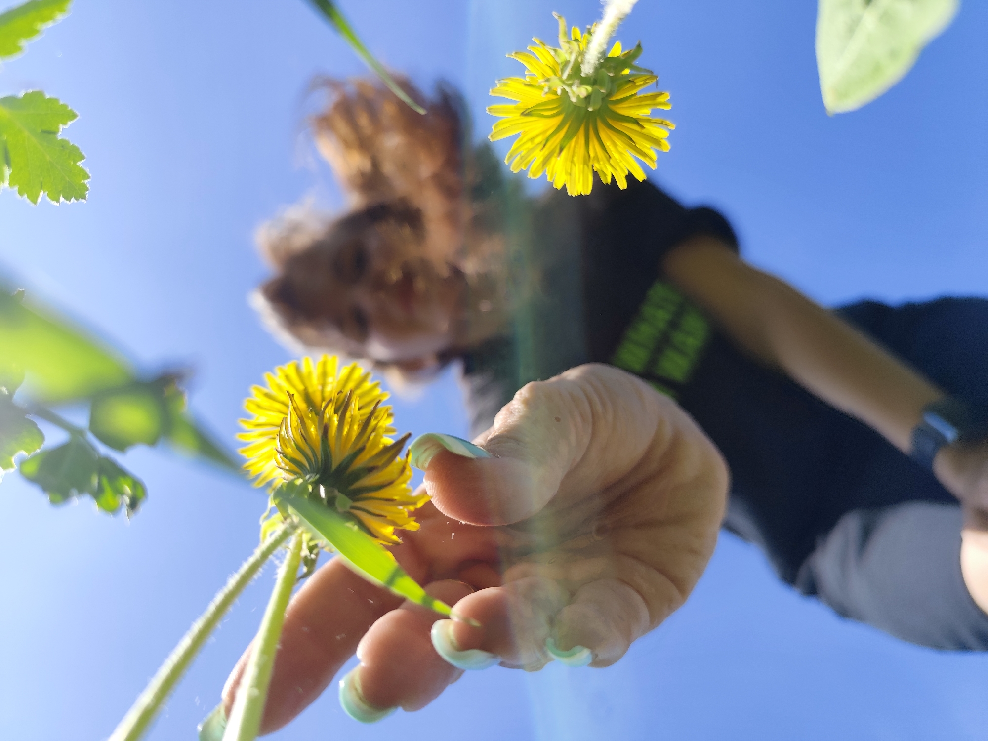A low-angle view looking up at a woman holding a dandelion. The sky is visible in the background. The woman's face is visible, out of focus. Her right hand is holding a dandelion; the fingernails are light blue. Part of her body is visible, wearing a black shirt. Other plants are around the dandelion. The location is not clear enough in the image to determine the city of Фоки, Russia.