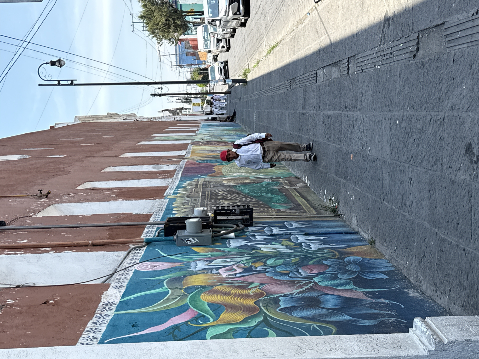 An outdoor, brightly lit scene captures a vibrant urban street, likely in Puebla, Mexico, under a clear sky. The central focus is a man in a white long-sleeved shirt, khaki pants, and a red cap, standing on a colorful mural that stretches along the base of a building on the left. He appears to be observing the surroundings or looking slightly past the camera.
The mural itself is a prominent feature, displaying intricate patterns of flowers and foliage in various shades of blue, green, pink, yellow, and red. Further along the mural, more complex scenes with figures can be discerned. Above the mural, the building wall is a reddish-brown color, marked with horizontal white sections. Several utility boxes or pieces of equipment are placed on the mural near the foreground.
To the right of the man is a textured, gray stone sidewalk. Beyond the man and further down the street, other individuals are visible, some dressed in white. A line of white vehicles, possibly vans or cars, is parked or moving along the street in the distance. The street is lined with buildings, and power lines crisscross the sky. A classic street lamp with a decorative scroll design is visible in the upper left, while trees provide greenery in the background. The sun casts distinct shadows, indicating midday or early afternoon. No legible text is visible in the scene.