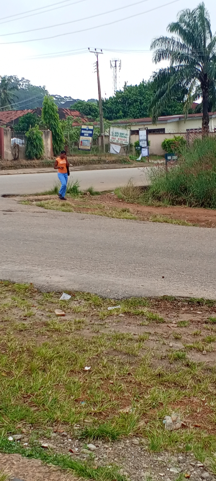 A woman with a black bag over her shoulder, wearing an orange shirt and light blue pants, stands on a grassy area near a paved road. In the background are trees, buildings with signs, a utility pole and a cell tower. Some grass and weeds are in the foreground. The sky appears overcast.