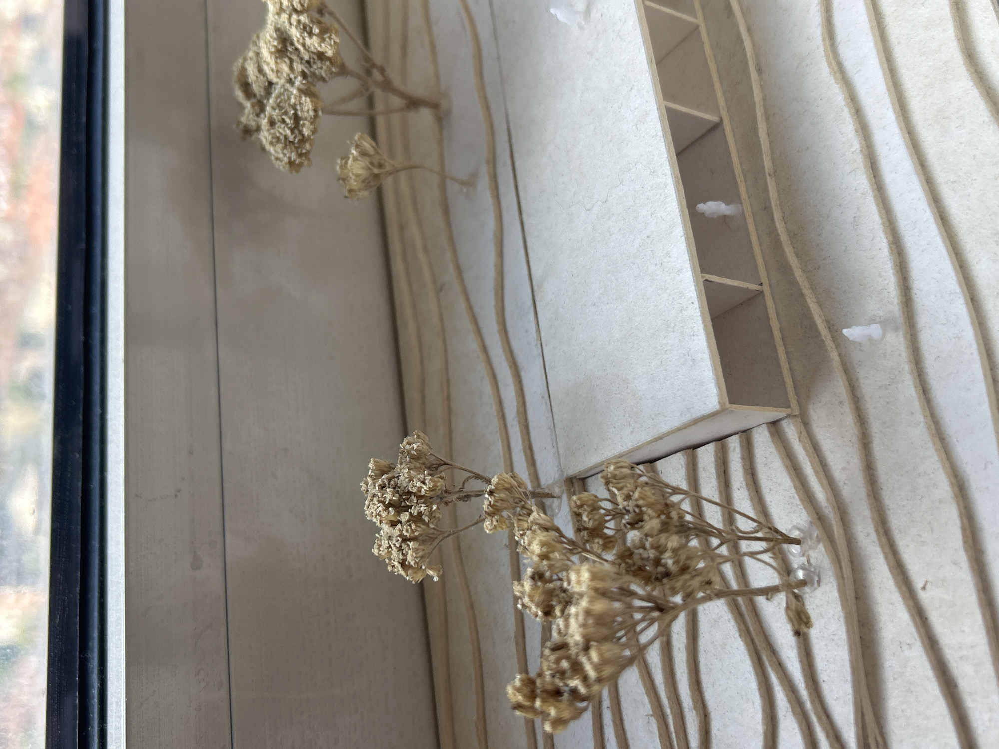 The image depicts a close-up of an architectural model. The model appears to be constructed of layered cardboard or similar material, creating contour lines or topographic features. A rectangular structure with internal divisions is visible. Dried flowers are arranged within the model, seemingly as decorative elements. The model is positioned near a window, and an indistinct outdoor scene can be seen through the window on the left side of the image. There is no verifiable evidence in the provided image to determine a location in Sofia, Bulgaria.