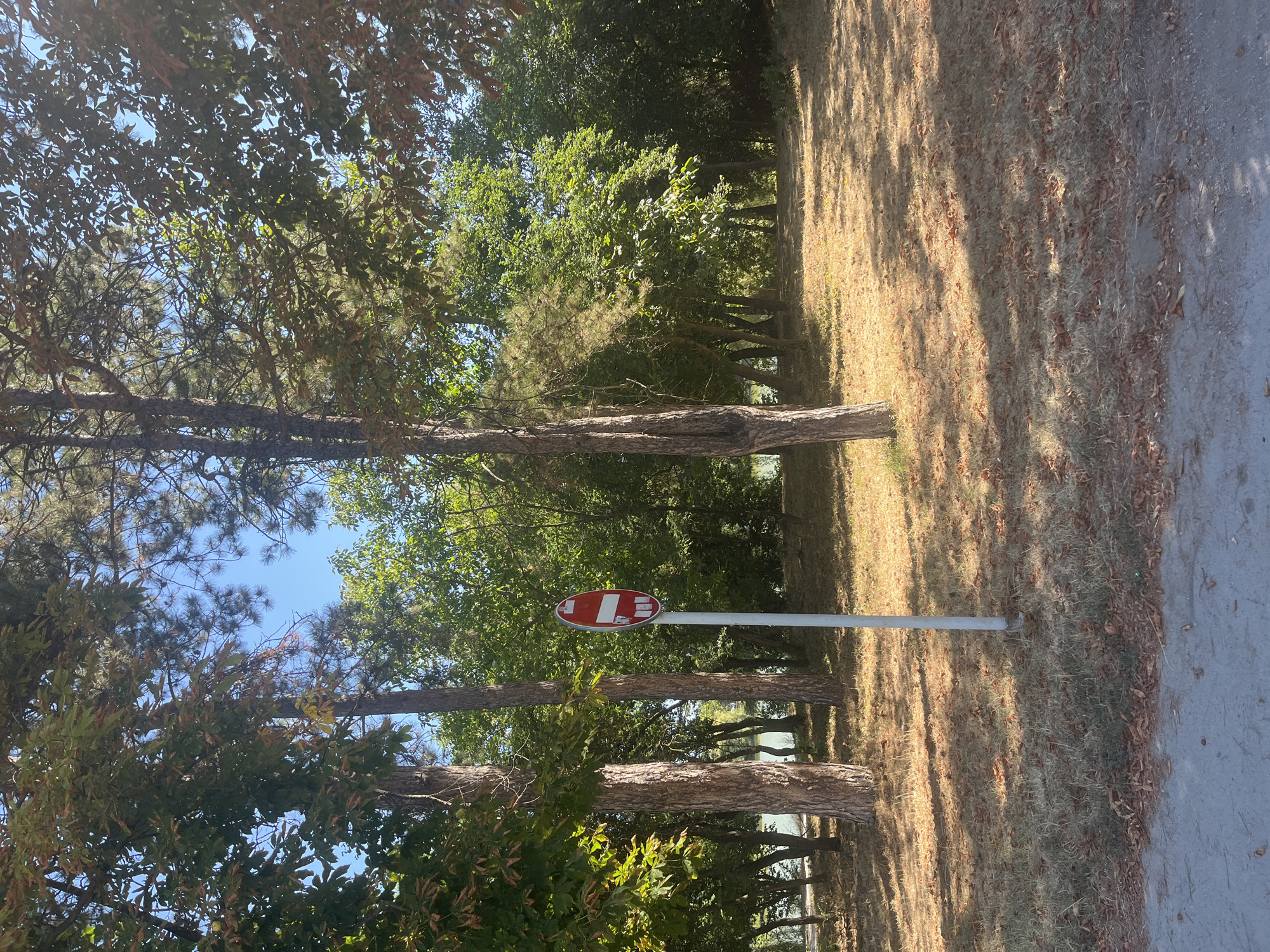 The image depicts a scene in the city of Targovishte, Bulgaria, likely in a park or green space. In the foreground, a grey asphalt path runs along the bottom of the frame. To the right of the path is a grassy area with dry, brown grass and scattered fallen leaves. A white pole with a red and white circular sign featuring a red horizontal bar on a white background is planted in the grassy area. Behind the grassy area, a line of trees stands, with some of them bearing green foliage and others showing hints of autumnal colors. The trees create a dense canopy that casts shadows on the ground. Further in the background, more trees form a lush green wall, and a glimpse of water, possibly a lake or river, can be seen between the trees. The sky is a clear blue. There are no people visible in the image, and no actions or interactions are taking place. The overall impression is a serene, natural setting within an urban environment.