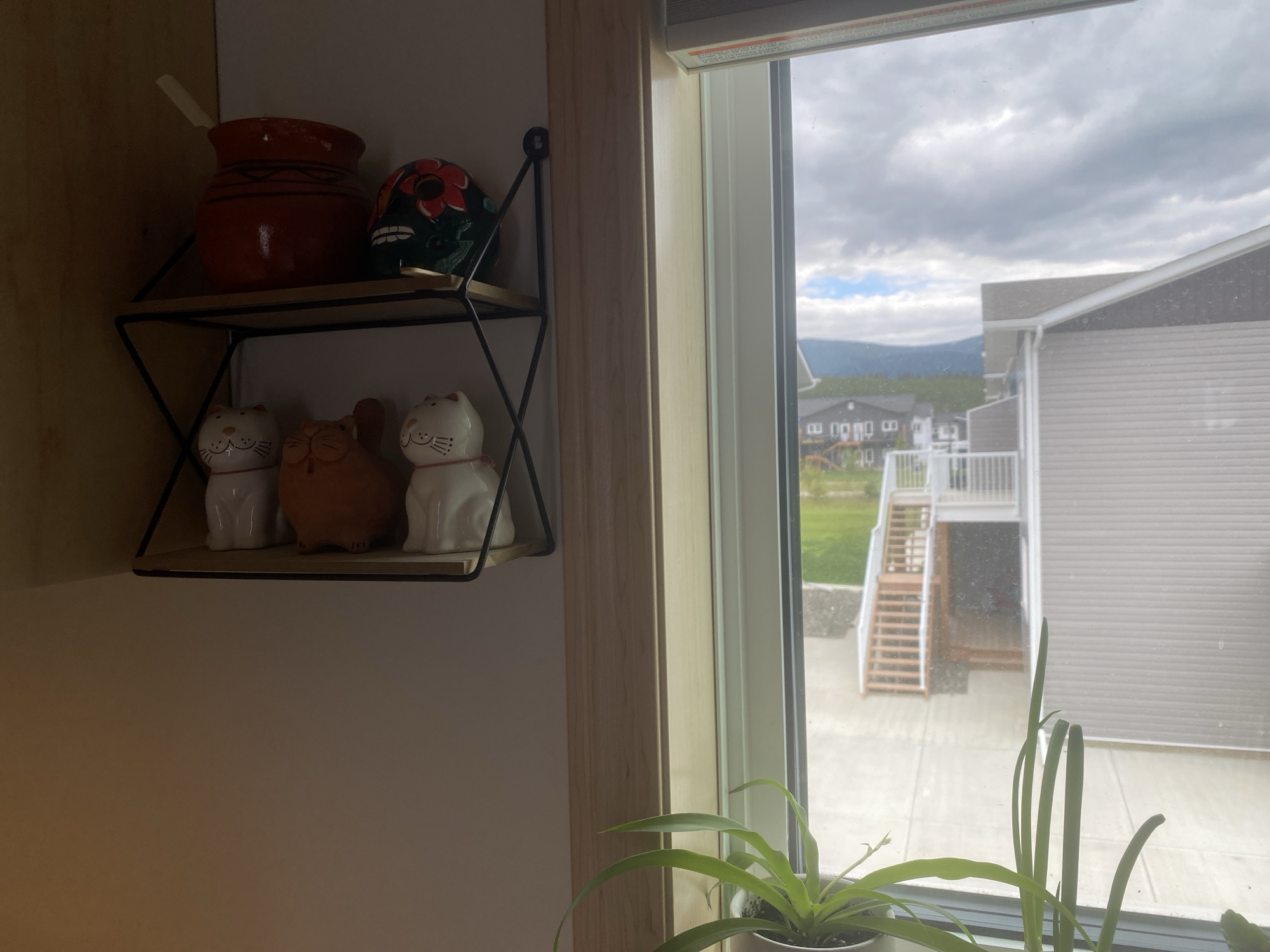 The image depicts a domestic indoor scene with a view through a window to a suburban backyard.
In the foreground, on a black wire shelf mounted on a white wall, are several decorative items. The top shelf holds a red ceramic pot with black markings and a green, painted skull with a red flower design. The bottom shelf displays three ceramic cat figurines: two white cats with painted faces and one larger, orange cat in the center. To the right of the shelf unit, a portion of a wooden window frame is visible, adjacent to a white-framed window. Through the window, a backyard is visible. The backyard features a concrete patio, a wooden staircase leading to an upper level of a house, and a section of a beige siding house. Beyond the houses, green trees and distant mountains under a cloudy sky can be seen. The scene suggests a residential setting, likely a home in Whitehorse, Canada, given the architectural style and the presence of evergreen trees and mountainous terrain common to the region. There are no people or animals present in the image. The overall lighting is natural, coming from the window.