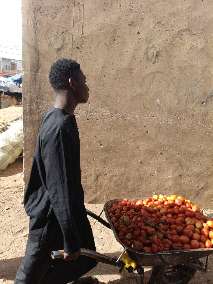 The image displays a daytime scene in Kawaji, Nigeria. A young dark-skinned male, with short dark hair and wearing a loose-fitting black long-sleeved garment, is depicted in profile, facing right. He is actively pushing a dark metal wheelbarrow with his right hand. The wheelbarrow is heavily loaded with a mixture of red tomatoes and peppers, exhibiting varying degrees of ripeness and condition, with some appearing firm and others showing signs of deterioration. The male stands on unpaved reddish-brown earth. Behind him and to his right is a prominent, roughly textured light brown wall, presenting visible indentations and faint graffiti. To the far left, beyond the wall, elements of a market are visible, including structures with blue tarpaulin roofs and other buildings. A large white sack lies on the ground to the left of the wall. The scene is illuminated by direct sunlight.