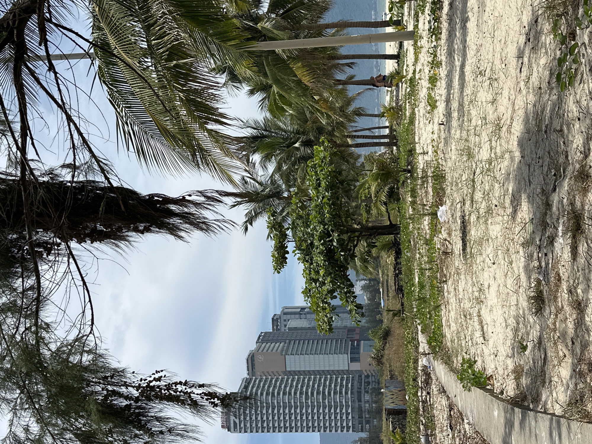 The image depicts a beach area in Da Nang, Vietnam, characterized by sand, sparse vegetation, and palm trees. In the background, a row of modern high-rise buildings, including the Hilton Garden Inn, stands against a cloudy sky. The foreground features a concrete pathway bordering a sandy area with some scattered debris and green foliage. Towards the right, two individuals are visible on the beach, one standing and the other partially obscured. The overall scene suggests a coastal urban environment with resort-style development.