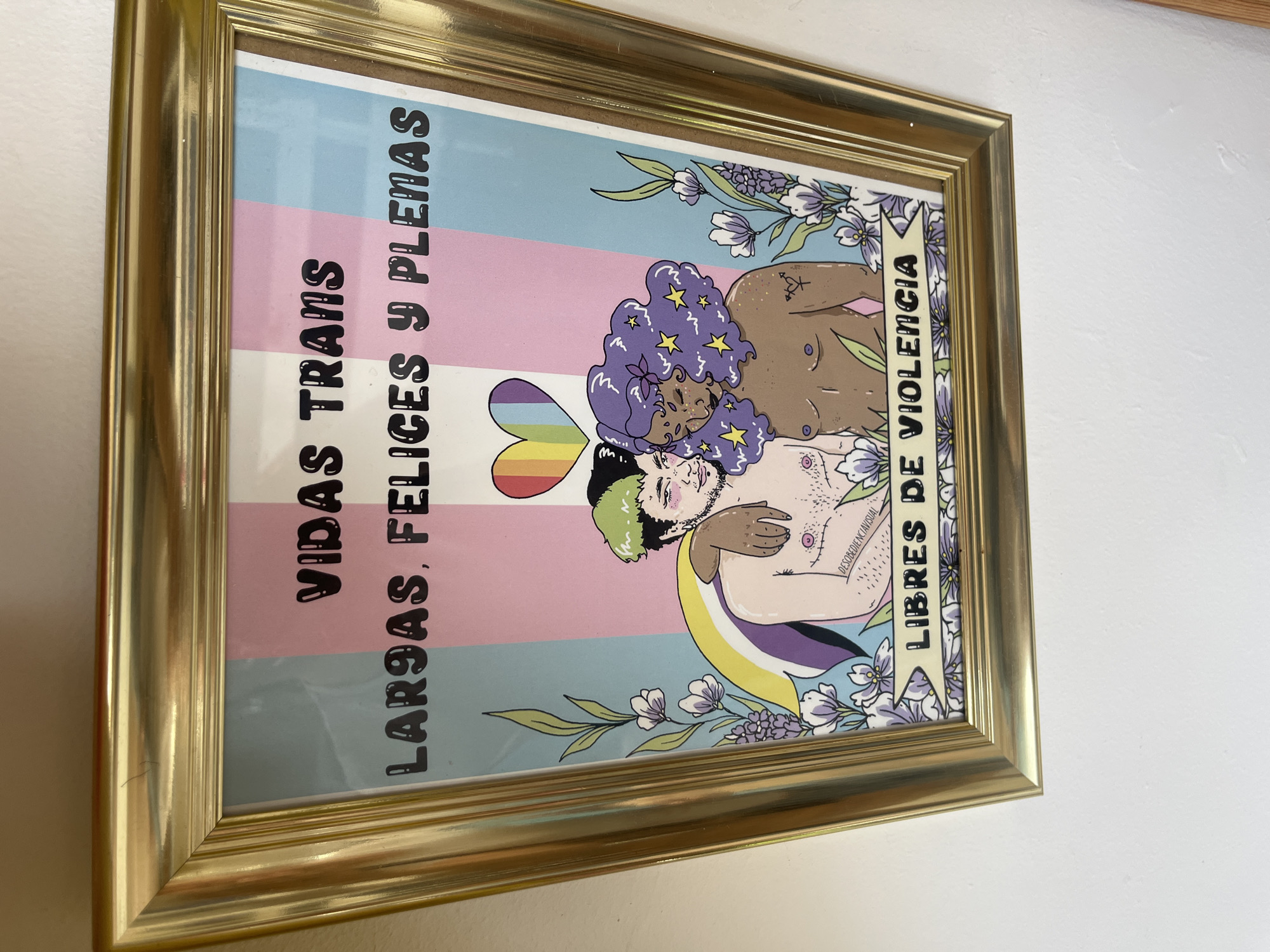 A framed print hangs on a white wall. The frame is gold. The print features two nude figures embracing, surrounded by flowers, and a background of transgender and rainbow flag stripes. The text "VIDAS TRANS LARGAS, FELICES Y PLENAS" is printed vertically on the left, and "LIBRES DE VIOLENCIA" is printed vertically on the right. The location is unknown.