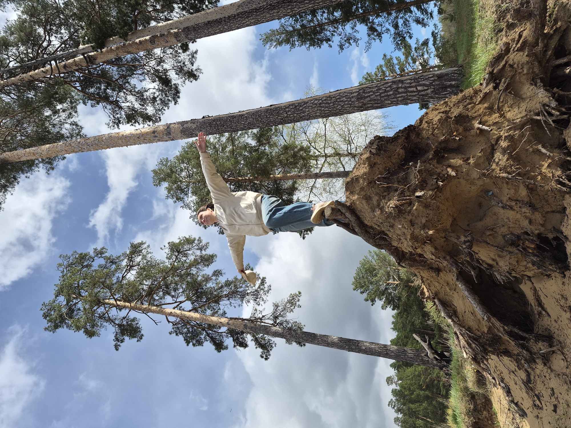 A person stands on the edge of an eroded bank in a forested area, with tall pine trees visible against a cloudy sky. The person is wearing a light jacket, blue jeans, and tan shoes, and holds a light-colored hat in their right hand. Their arms are outstretched, suggesting balance. The bank is composed of sandy soil with exposed roots. The location is possibly in the city of Chaikovsky, Russia.