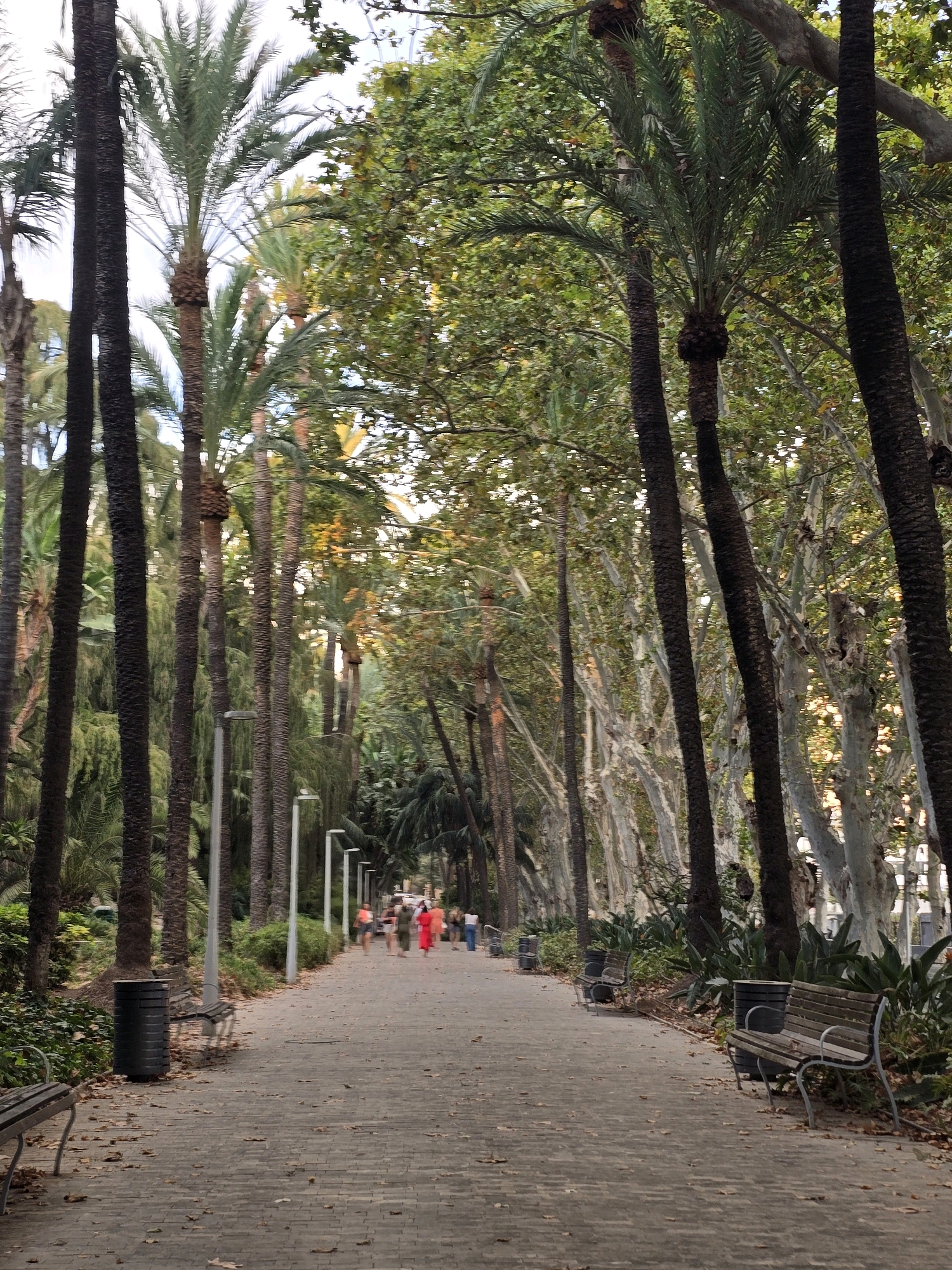 This is a ground-level, medium-shot, vertical-format photograph of a tree-lined promenade in Málaga, Spain. The promenade, paved with brickwork, is bordered by lush vegetation and tall palm trees on both sides, with a dense canopy overhead. A group of people, about five individuals, are walking away from the camera towards a distant white building. They are dressed in casual clothing, with some wearing bright colors. Several benches and trash receptacles are visible along the path. The scene evokes a tranquil park-like atmosphere, characteristic of urban green spaces designed for recreation and relaxation.