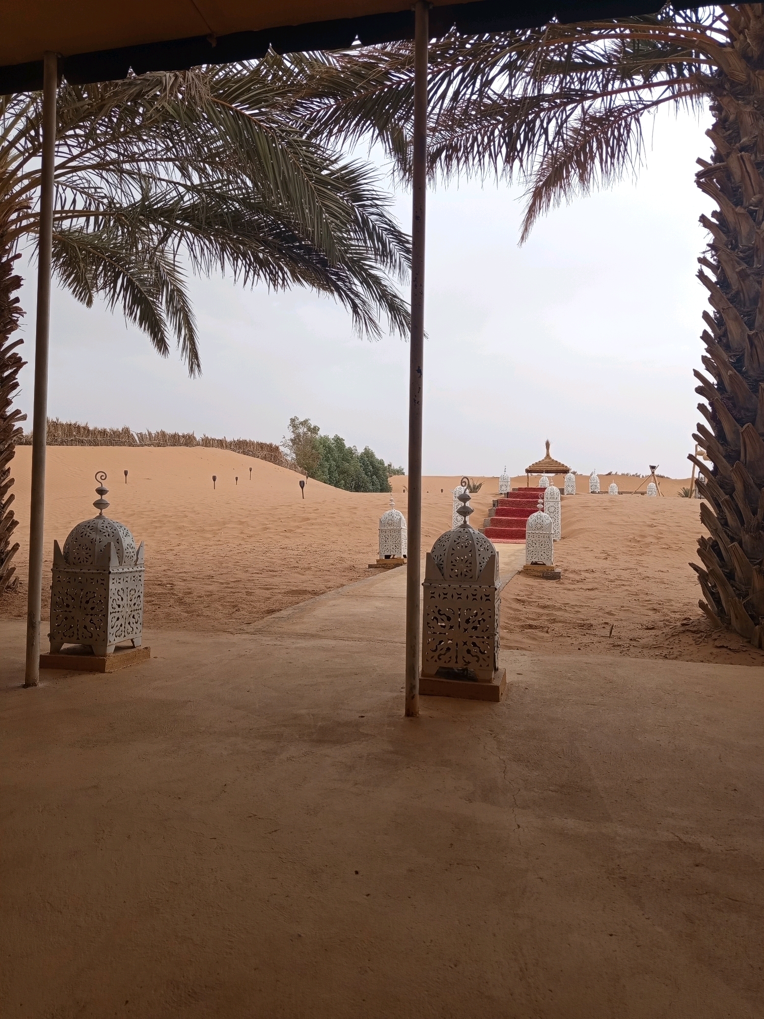 This is a medium shot, eye-level, exterior photograph taken in Rissani, Morocco, showcasing a desert landscape with decorative elements. The foreground is dominated by a concrete ground with a slight texture. On the left and right sides, parts of tall palm trees with rough, brown trunks and green fronds frame the scene. Between the palm trees, a path made of light brown concrete leads towards the desert.
Flanking the path are two intricately designed, white, metal lanterns. The lantern on the left is closer to the viewer and is more fully in frame. It has a square base and a decorative, domed top with cut-out patterns.
The middle ground of the image is a vast expanse of sand dunes, a typical feature of the desert environment. Scattered across the sand are several tall, thin, black torch-like structures. A pathway, possibly made of sand or a darker material, winds its way through the dunes towards the background.
In the distance, a raised structure with a thatched roof is visible, accessible by a set of red carpeted stairs. White lanterns, similar in design to those in the foreground, are placed at intervals along the sides of the pathway leading to the raised structure. Beyond the dunes and the raised structure, a line of sparse green trees and vegetation can be seen against a hazy, pale sky. The overall atmosphere is serene and somewhat exotic, suggesting an outdoor event or resting area in a desert setting. The lighting is soft, indicating an overcast day or perhaps early morning or late afternoon. There are no people visible in the frame.